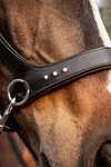 F.R.A. Freedom Riding Articles Glory Sidepull med tøjler (System 3), sort