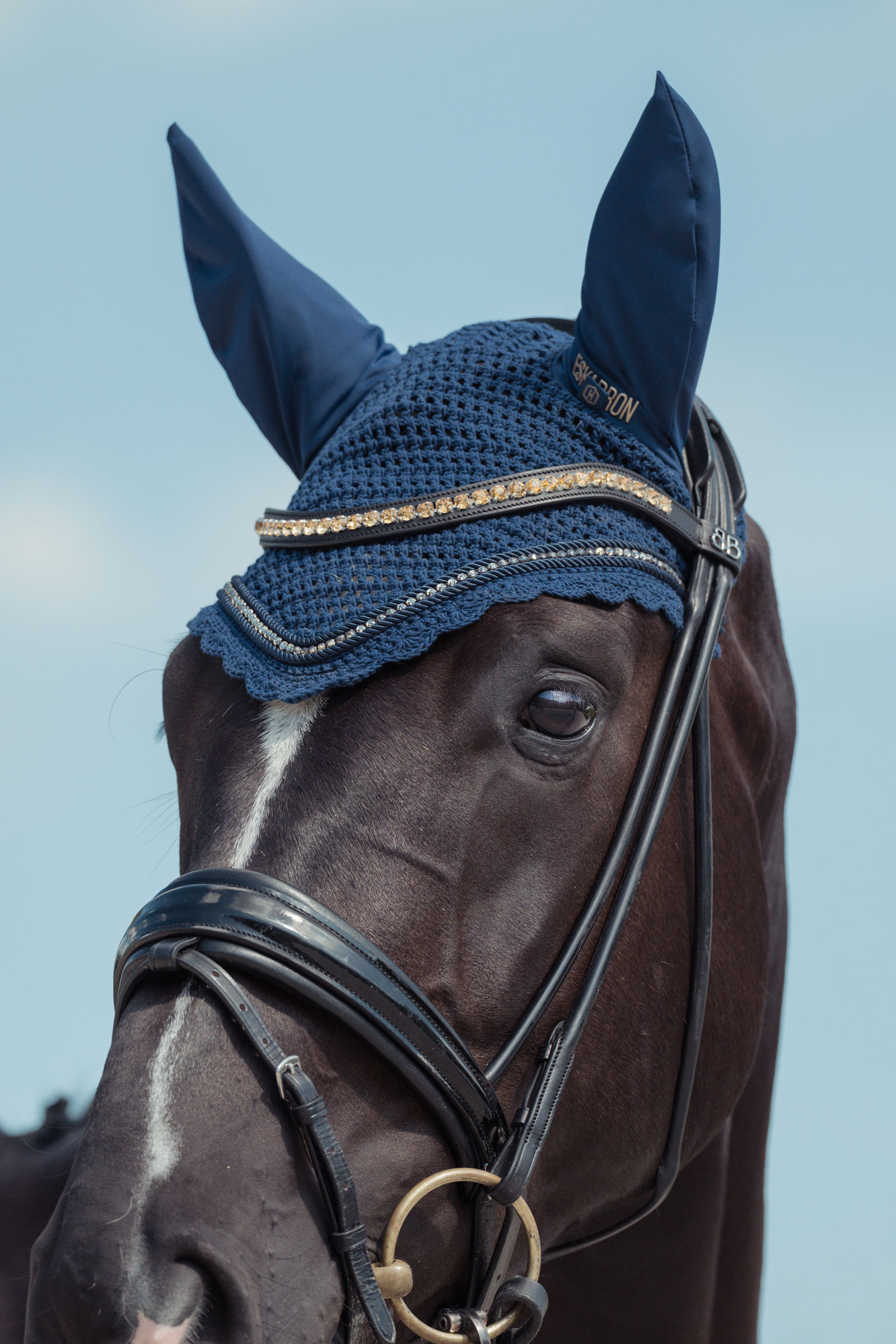 Eskadron Heritage AW24 Crystal Hut