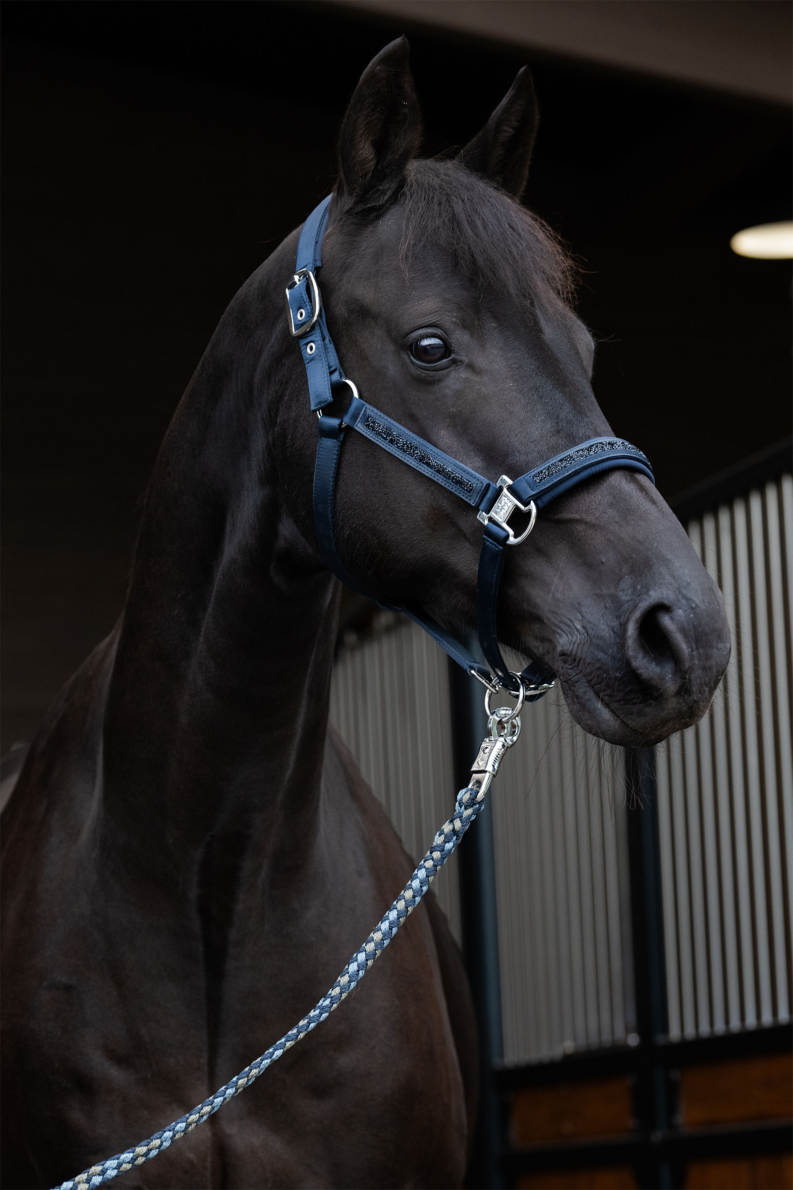 Eskadron Classic Sports SS25 Mattgloss Jewel Double Pin grimeskaft