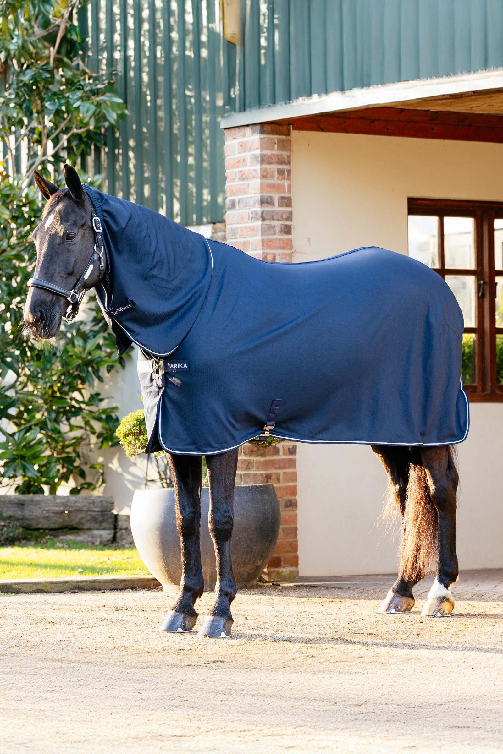 LeMieux Arika DryEase Rug