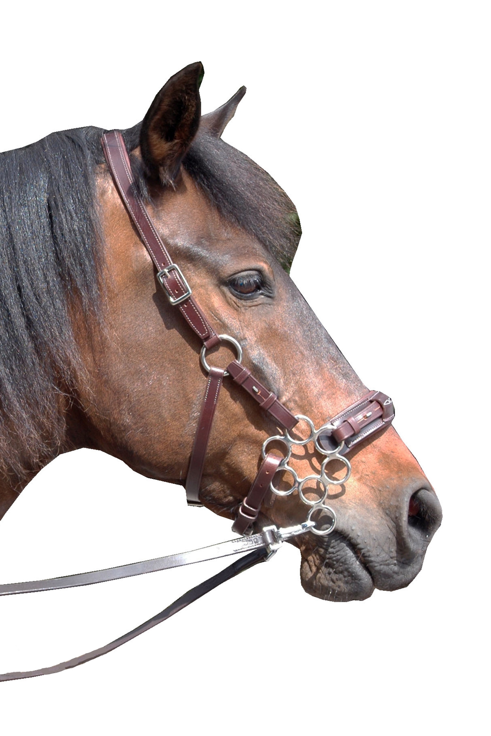 Dark Brown F.R.A. Freedom Riding Articles Aram hackamore (System 2) l&aelig;der, k&aelig;berem