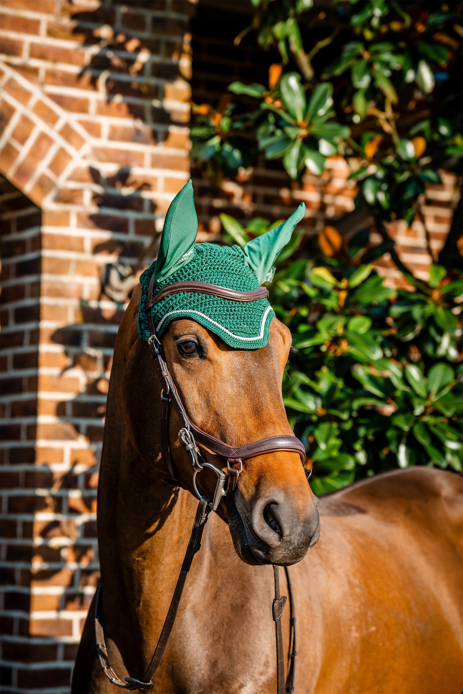 Hunter Green Horseware Signature fluehætte