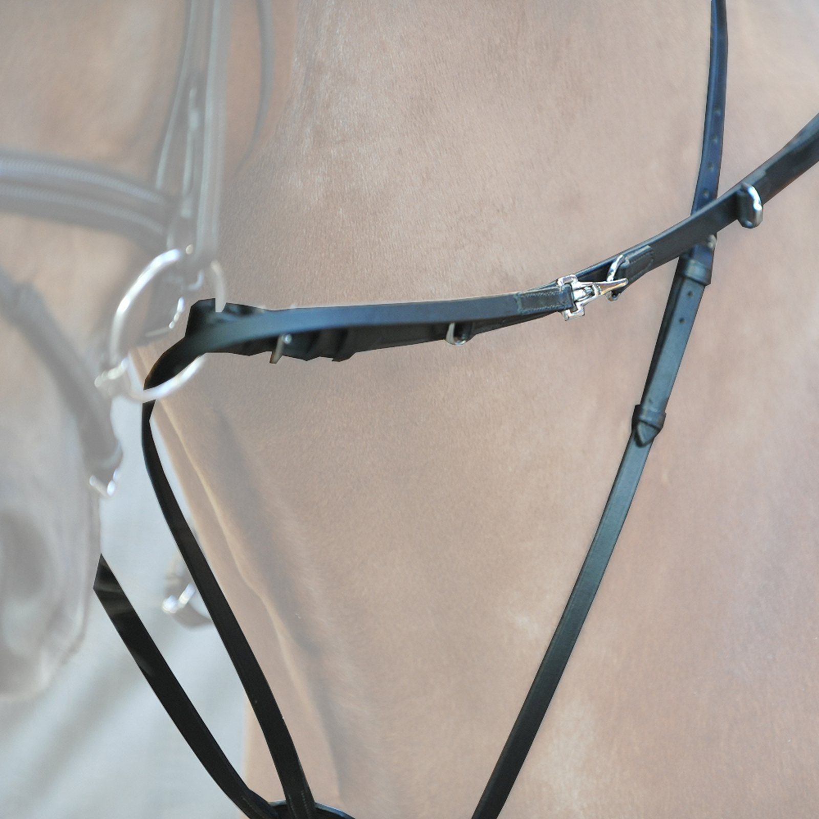 Kavalkade Market Harborough martingal