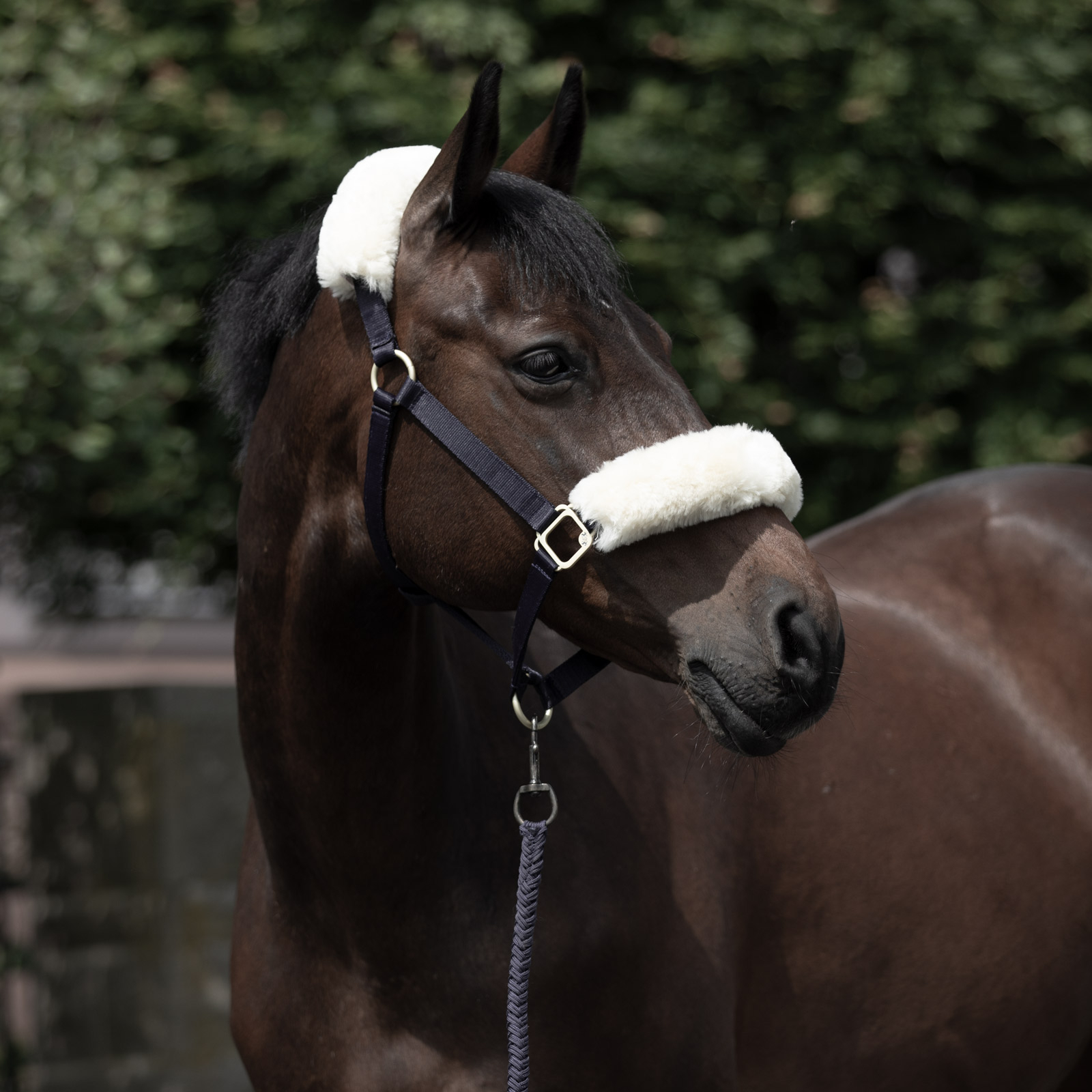 B Vertigo Laurier grime med lammeskind