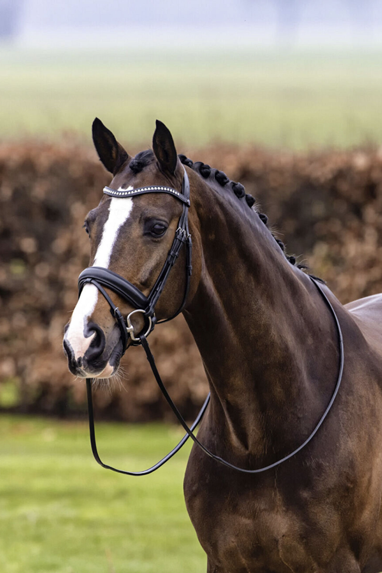 Trust Equestrian Verden Stor N&aelig;seb&aring;nd med krumtap