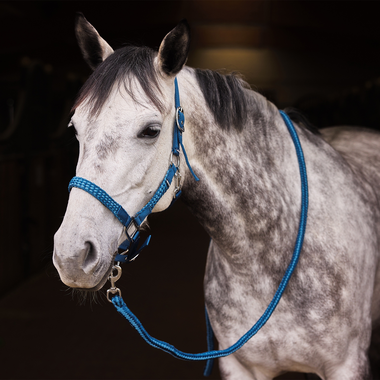 Horze Chicago sæt med grime og træktov