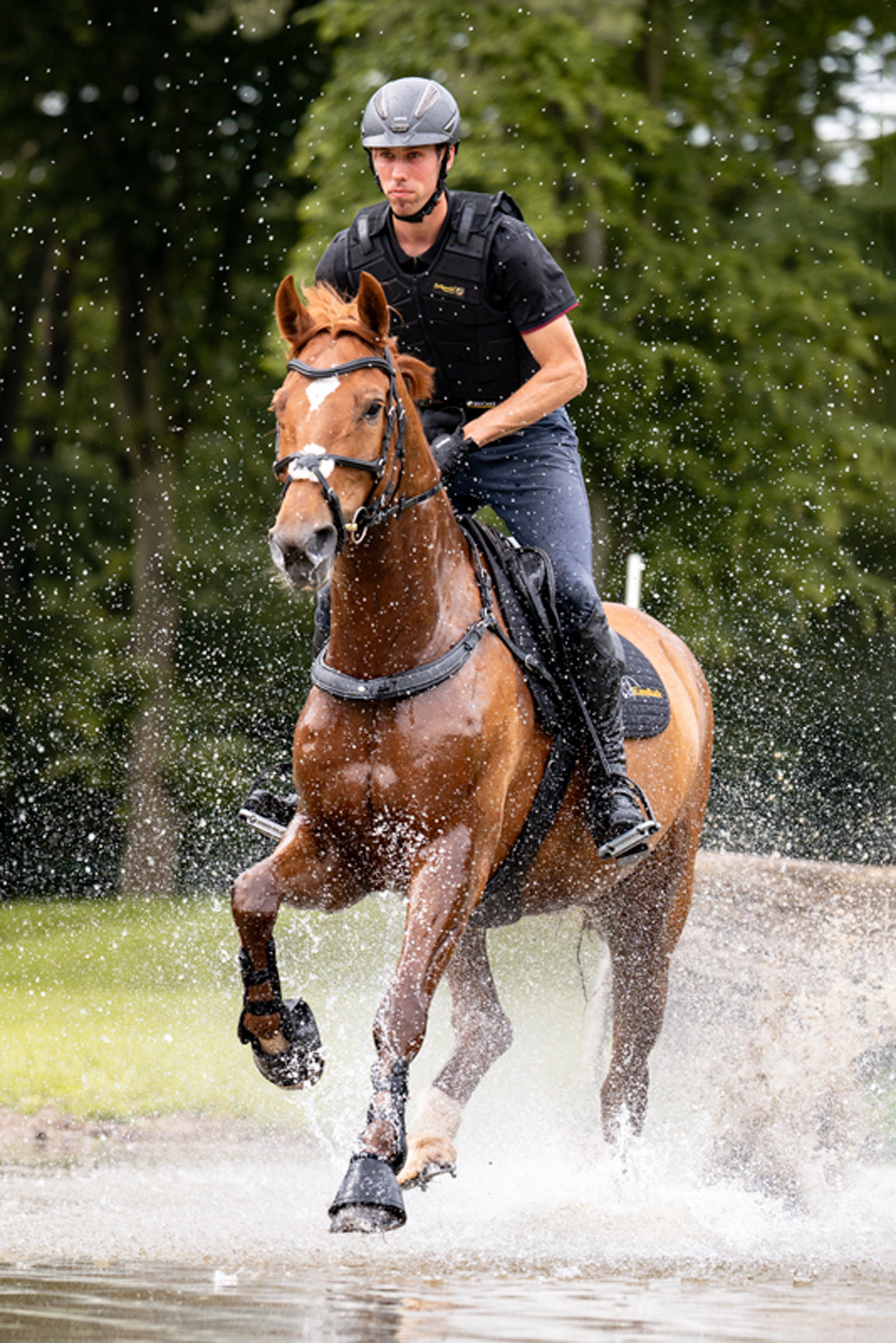 Kavalkade Jerome 2-punkts Brystplade