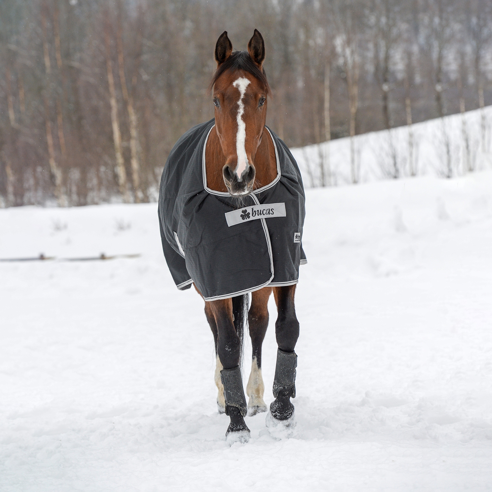 Bucas Anniversary Light SD overgangsdækken, 150 gr