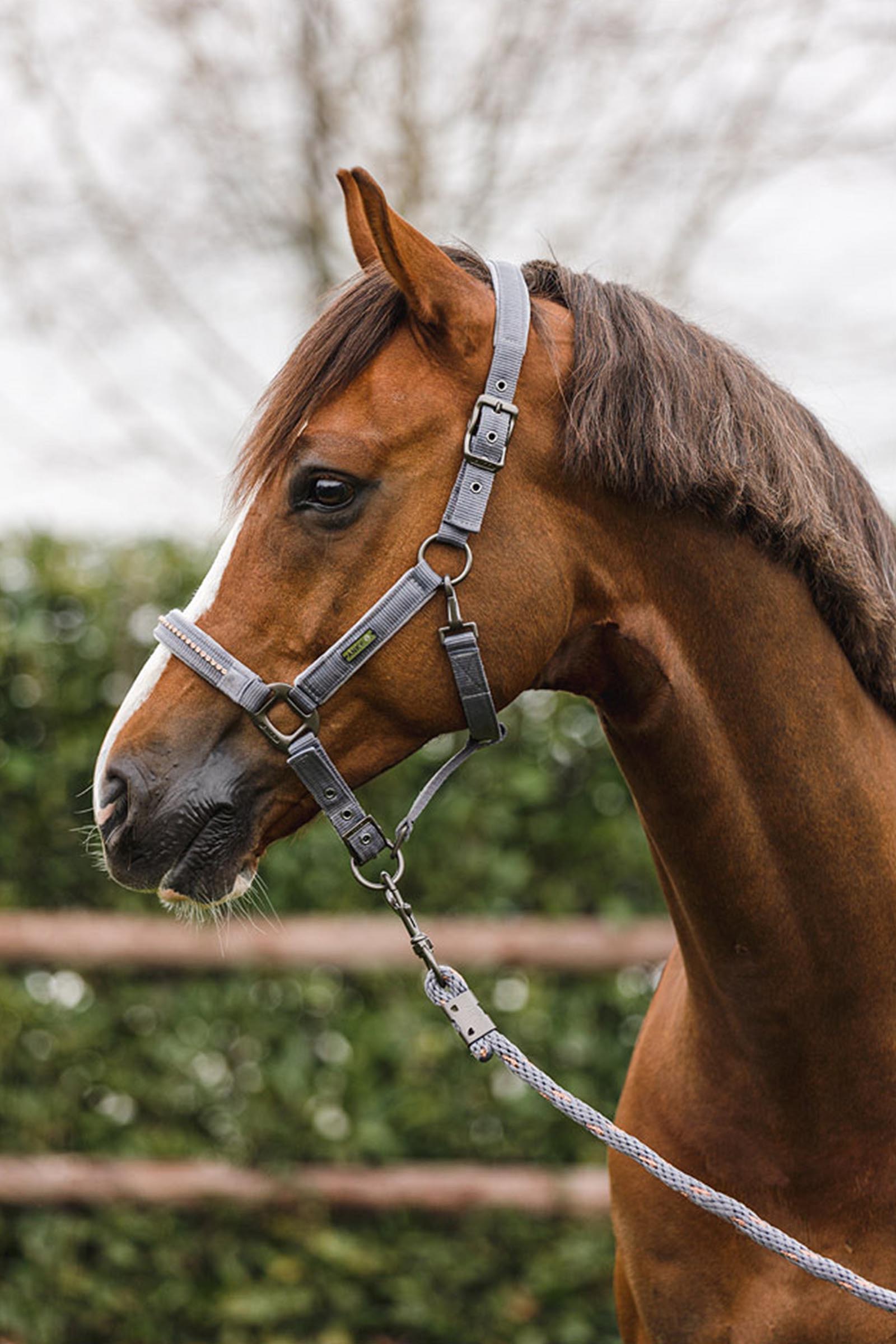 ANKY Stones Grime og Tr&aelig;ktov