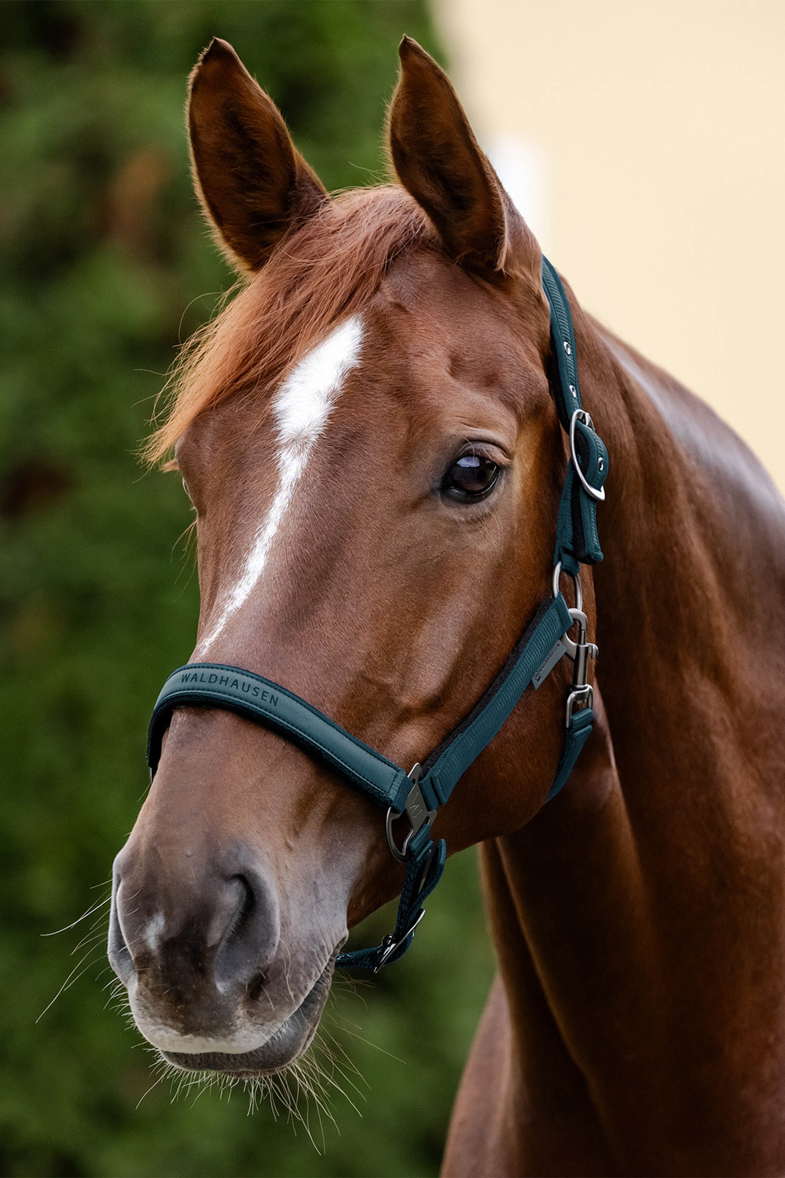 Waldhausen Athletic Grime