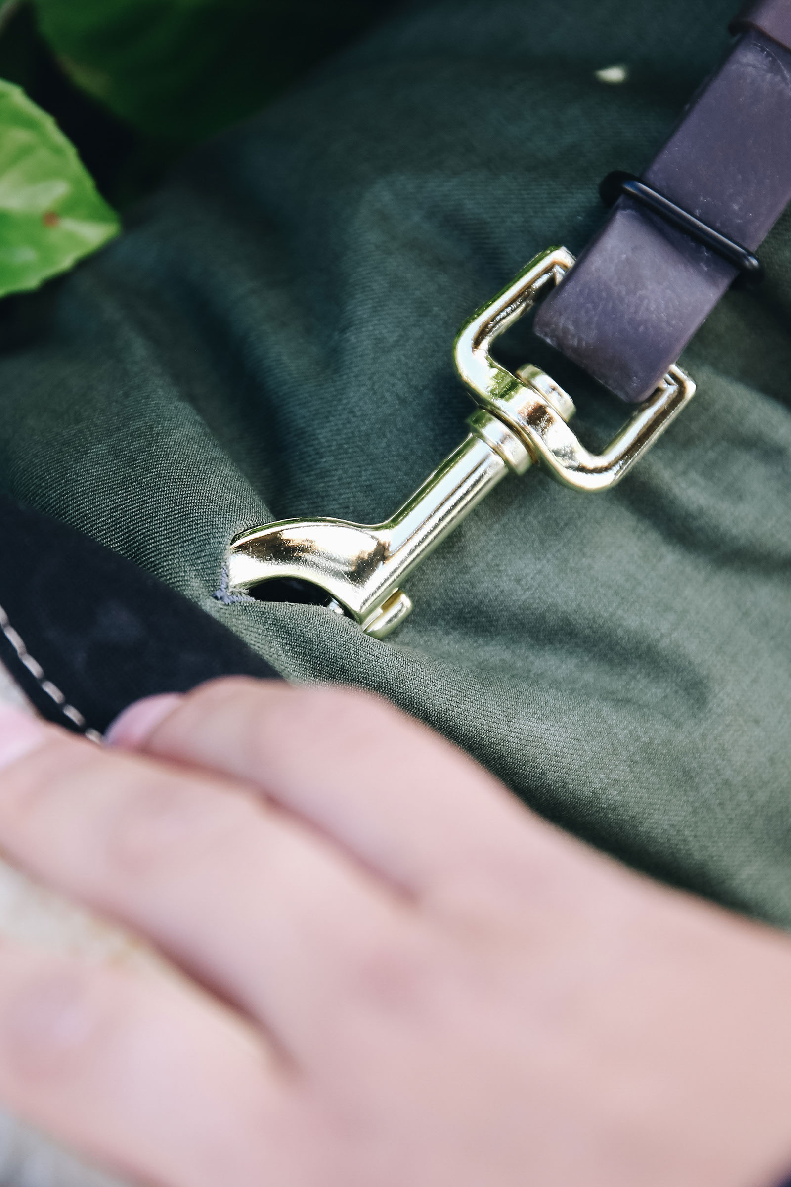 Kentucky Dogwear vandtæt hundefrakke.