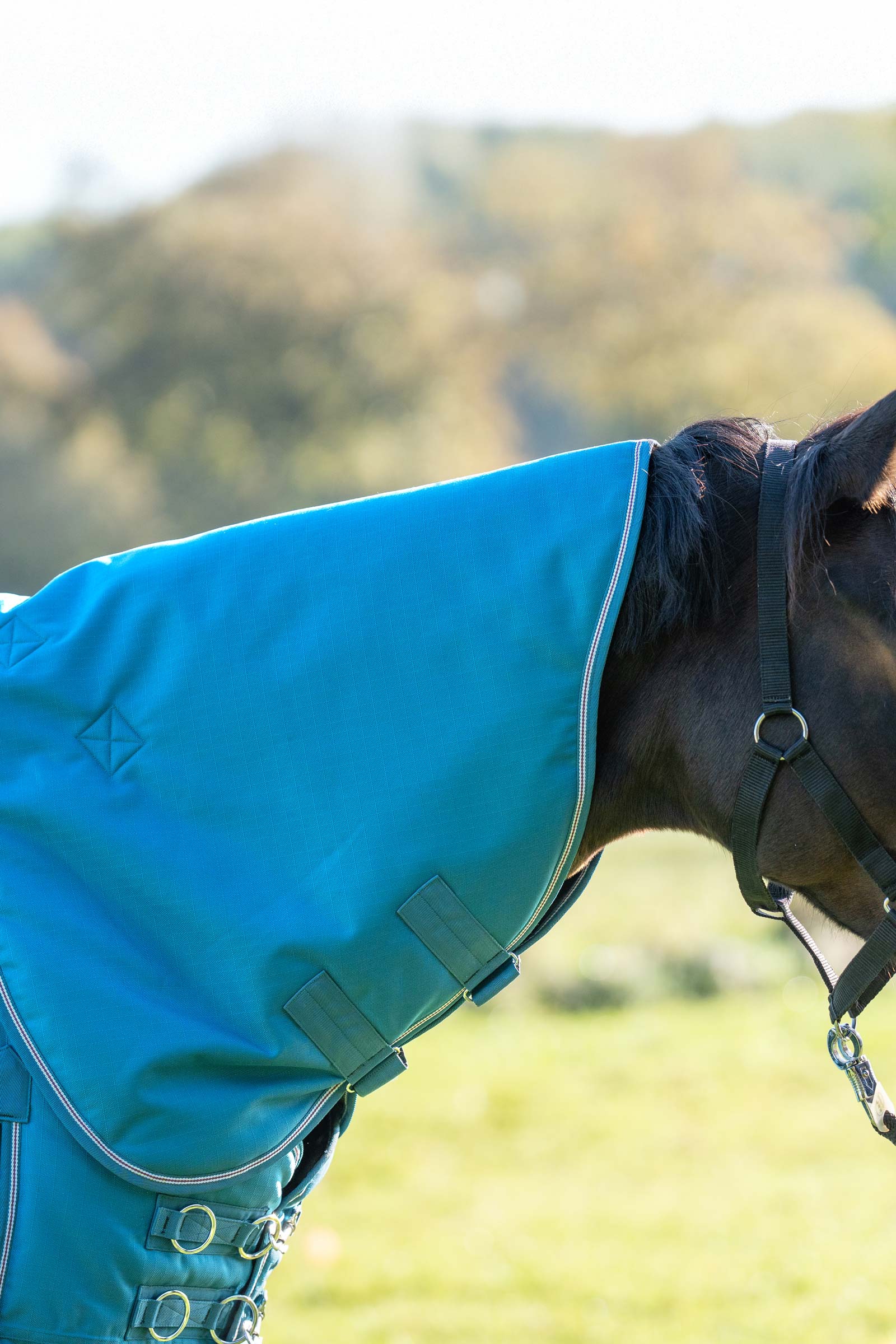 Petrol/Petrol-Bordeaux-White Kavalkade Hals til Alaska IV, 100 g