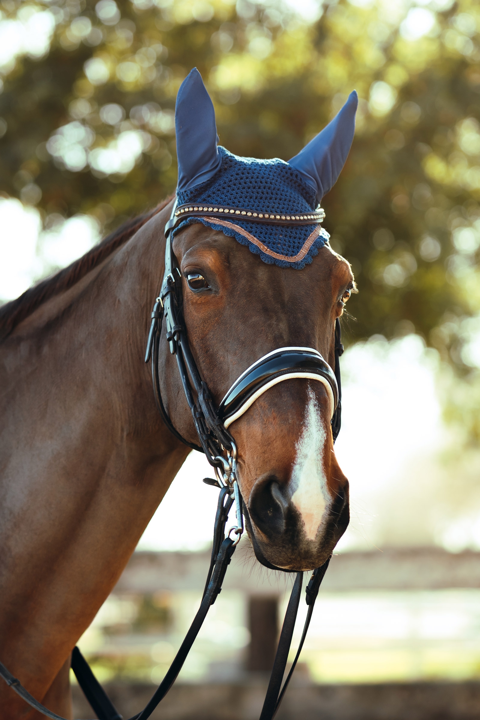 Horze Munich hut med metallisk detalje