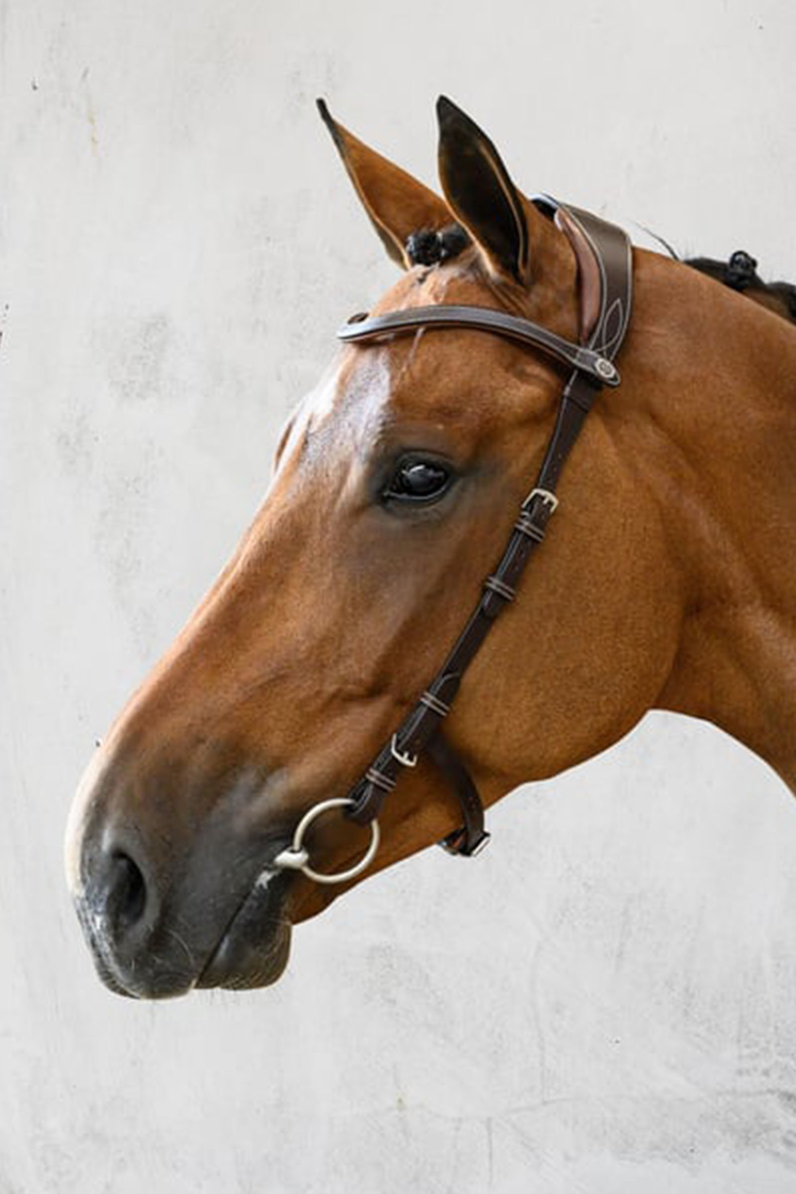 PS of Sweden Helsinki trense