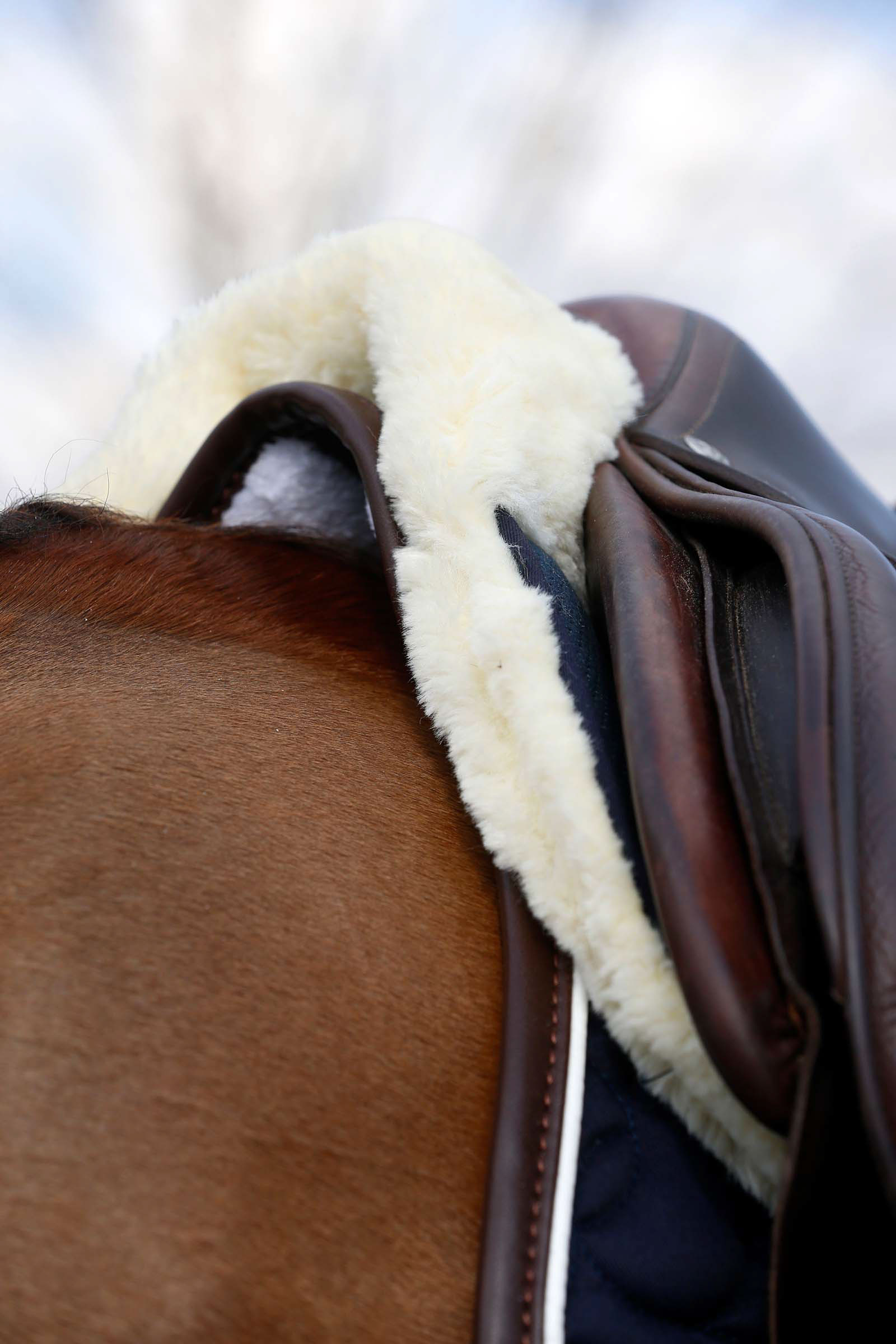 Kentucky Horsewear Absorb halvpad, fåreskind