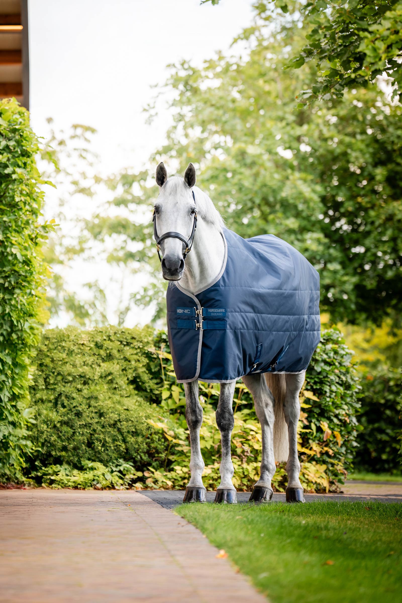 Horseware Ionic Therapy Stalddækken, 50g