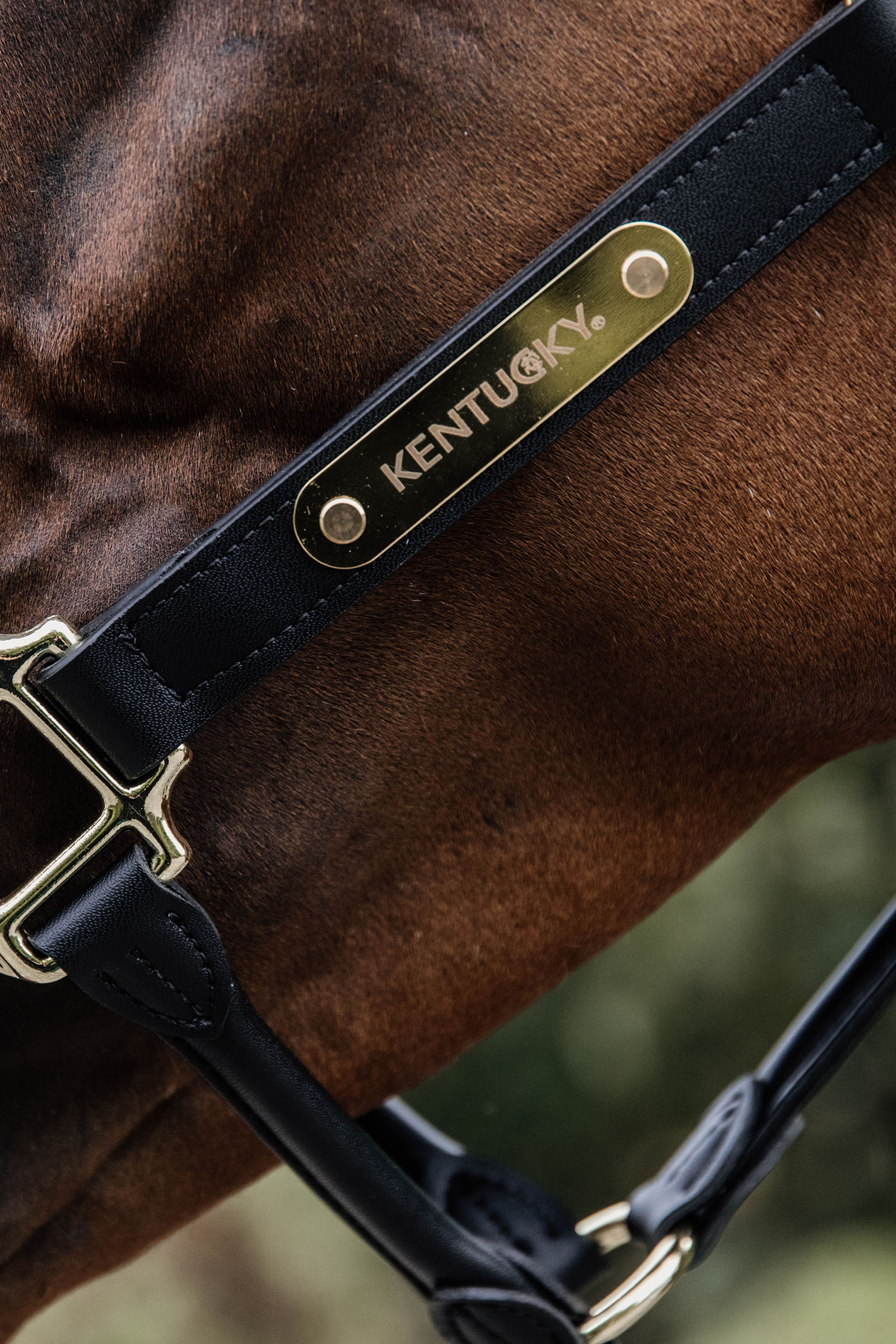 Kentucky Horsewear læder anatomisk grime