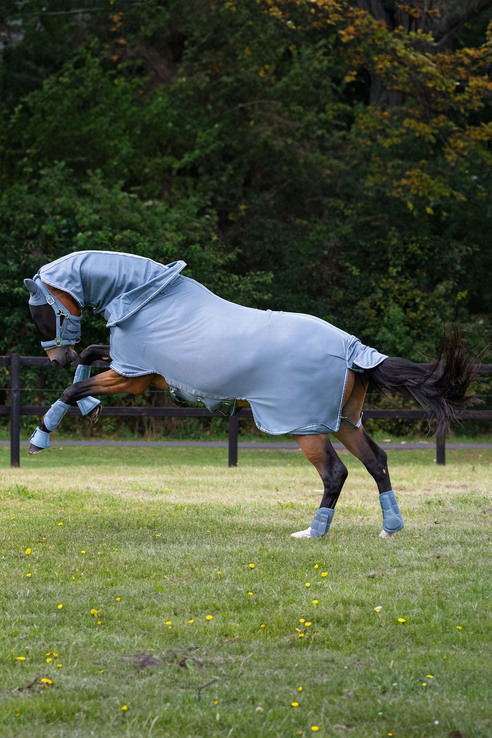 Eskadron Classic Sports SS25 Fly Detach-Neck flued&aelig;kken