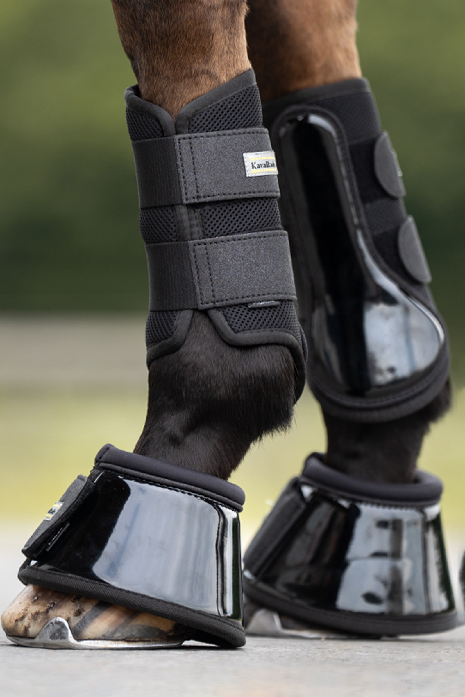 Kavalkade Anatomic Star Netv&aelig;rk B&oslash;rstning St&oslash;vler (1 Par)