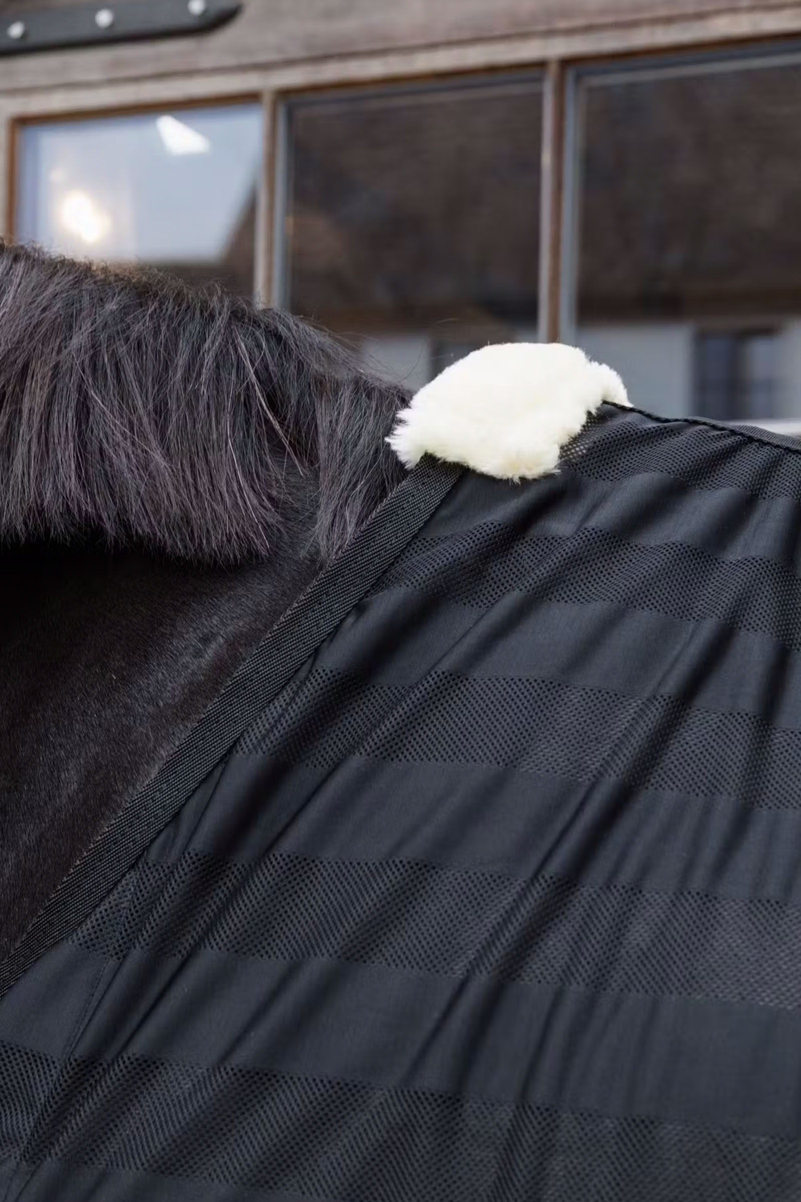 Kentucky Horsewear let stribet flued&aelig;kken i netmateriale