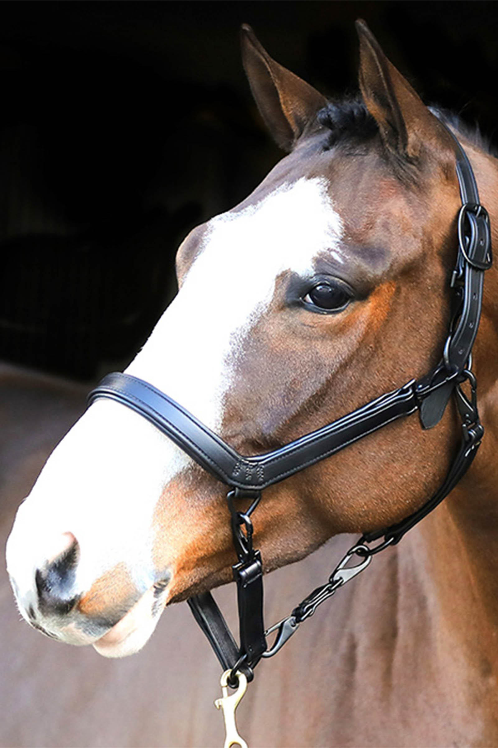 Liveryman L&aelig;der Hovedkrave