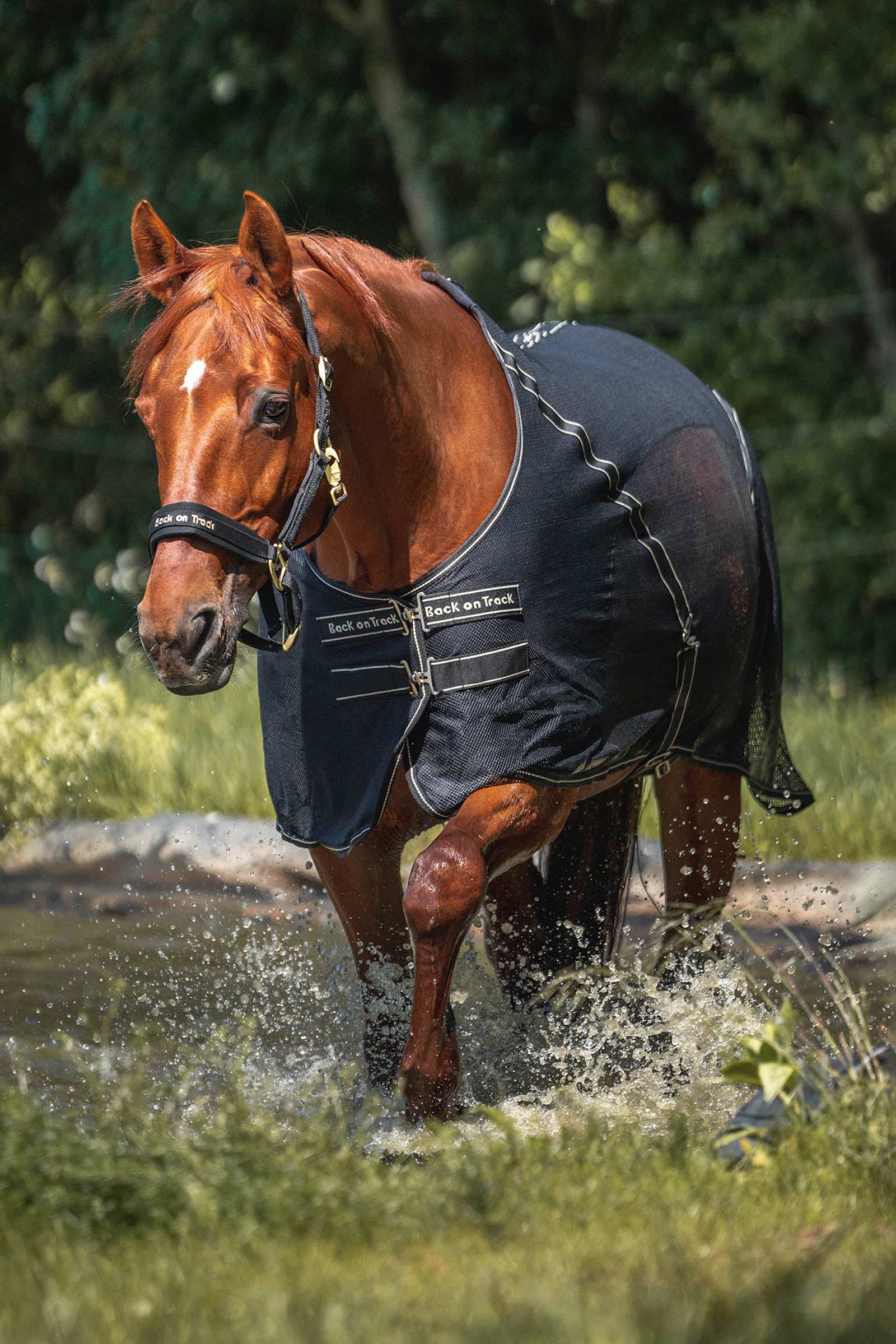 Back on Track Sienna cooler-dækken