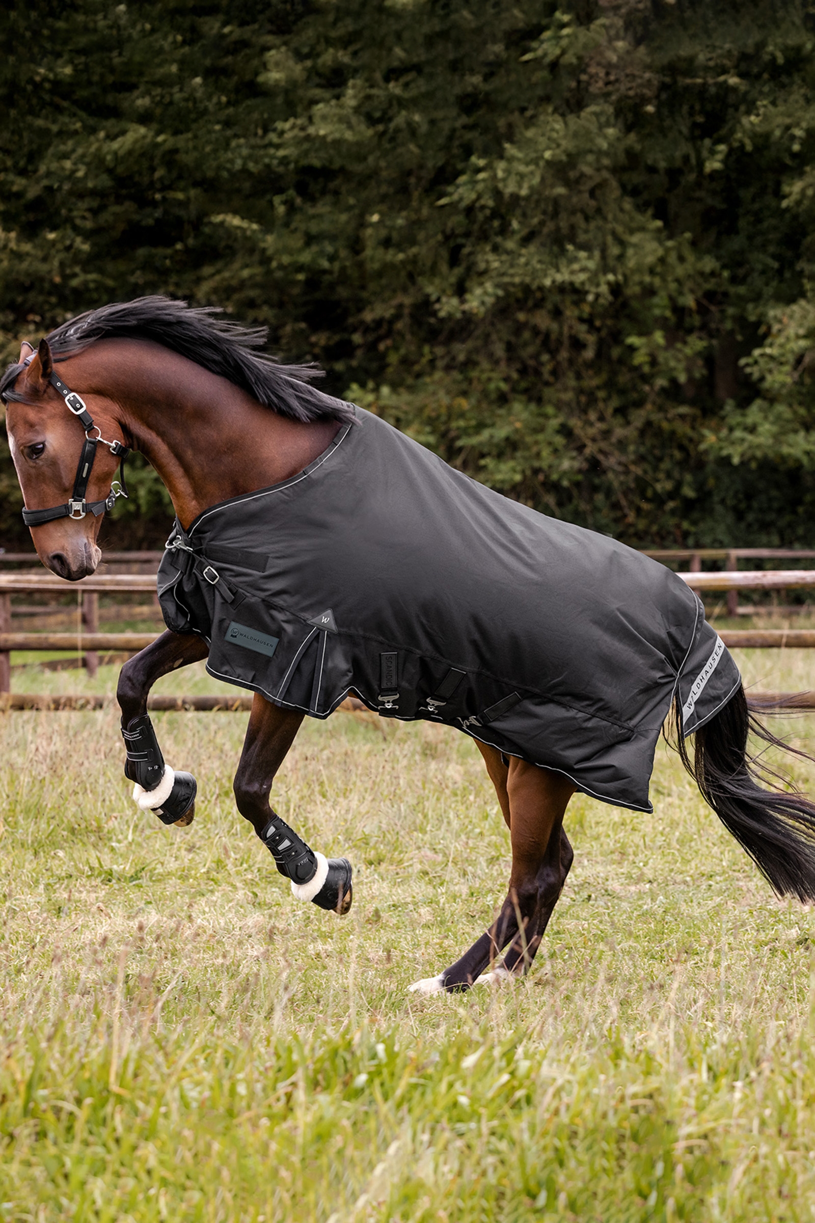 Waldhausen udend&oslash;rst&aelig;ppe Scandic 50g