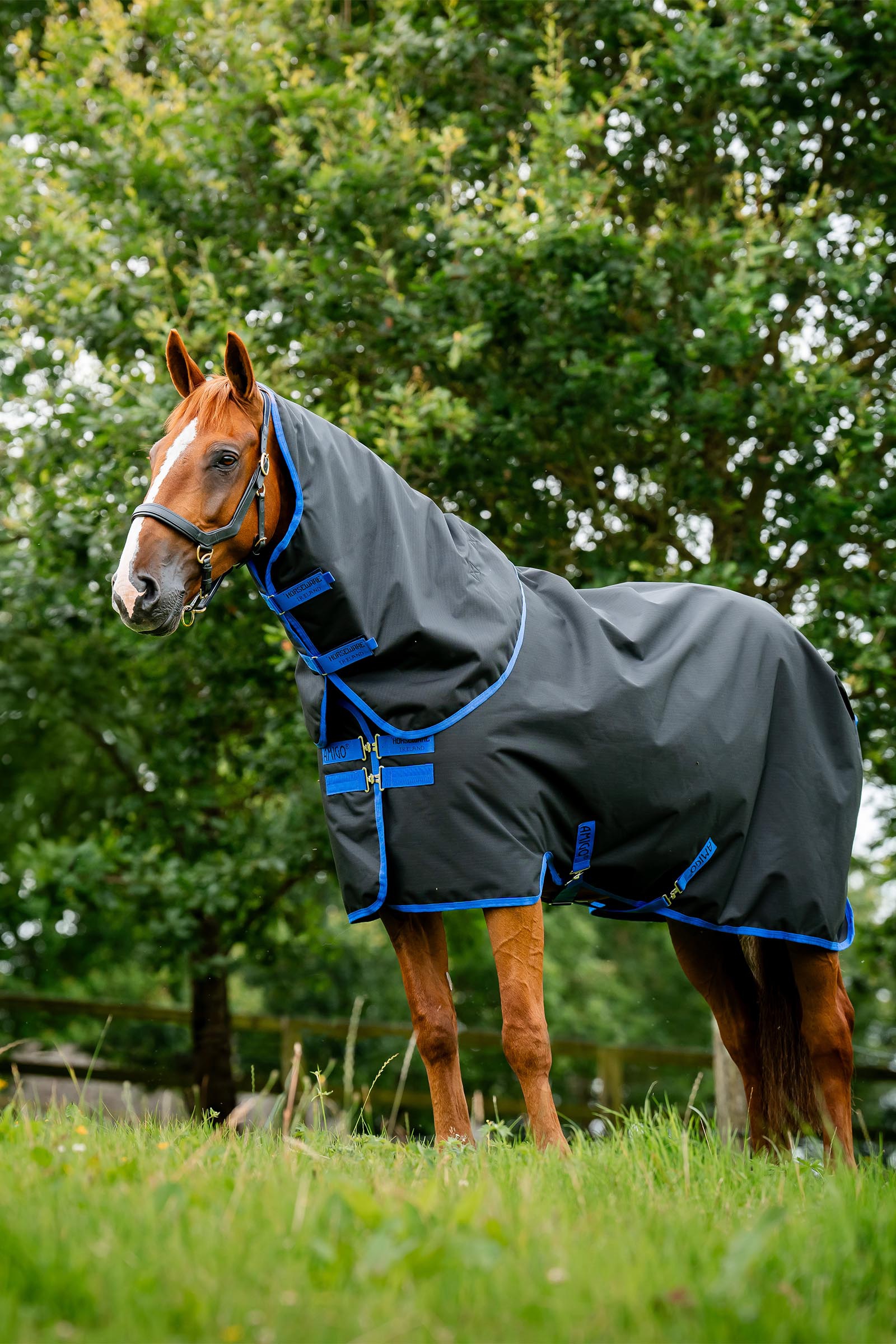 Black/Classic Blue Horseware Amigo Ripstop 900D Plus uded&aelig;kken med aftagelig halsdel, 100 g