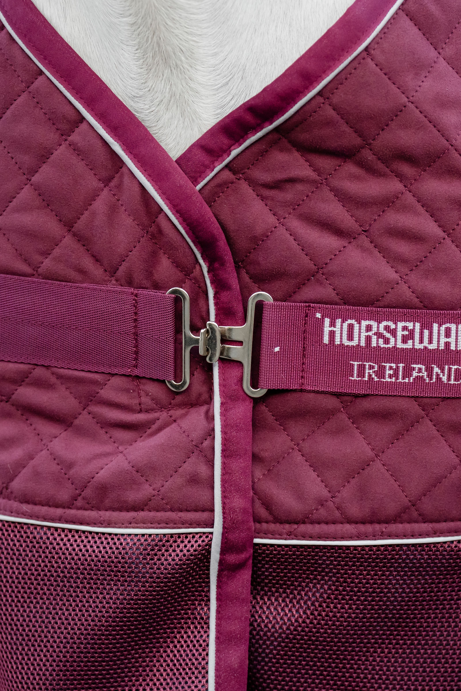 Horseware Signature rejse cooler