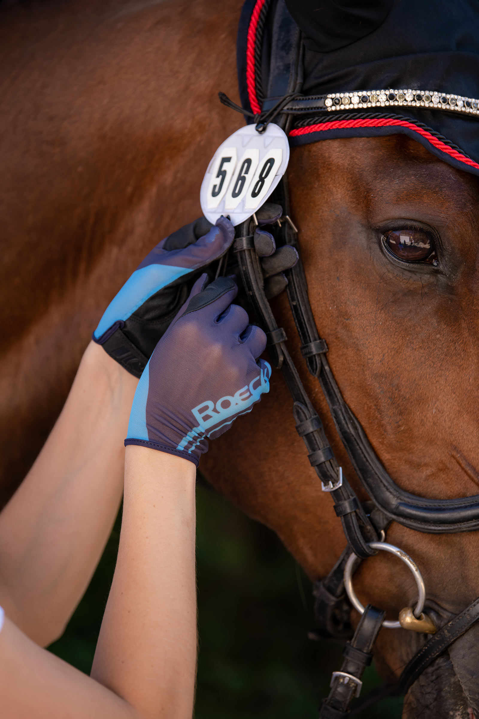 Roeckl Moyo sommer ridehandsker  