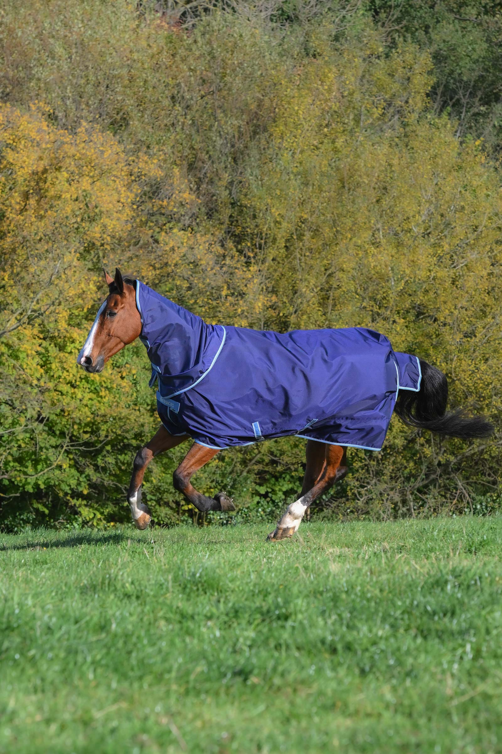 Bucas Atlantic Exclusive D&aelig;kken & Hals, 150 g