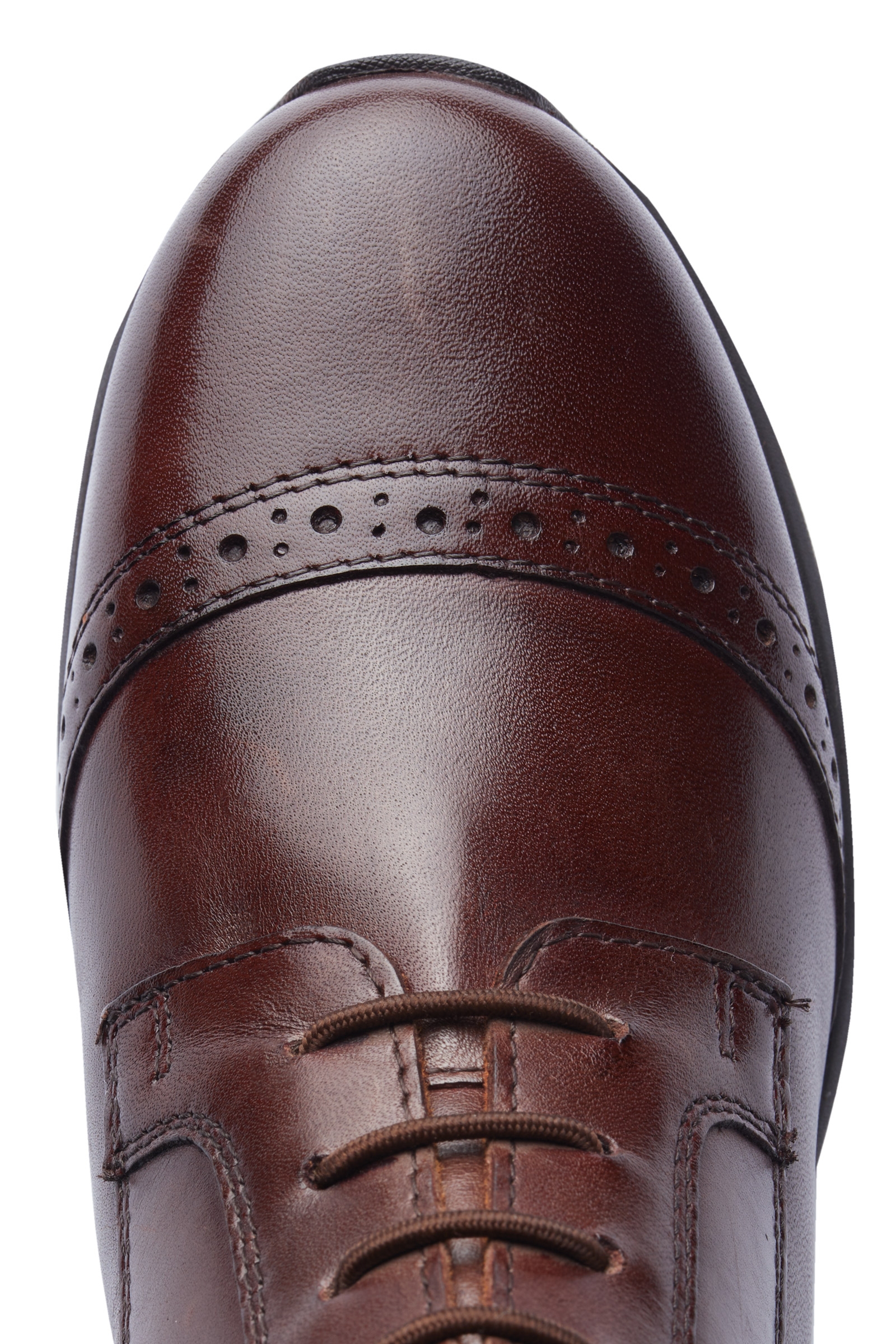 Horze Wicklow Jodhpurstøvler