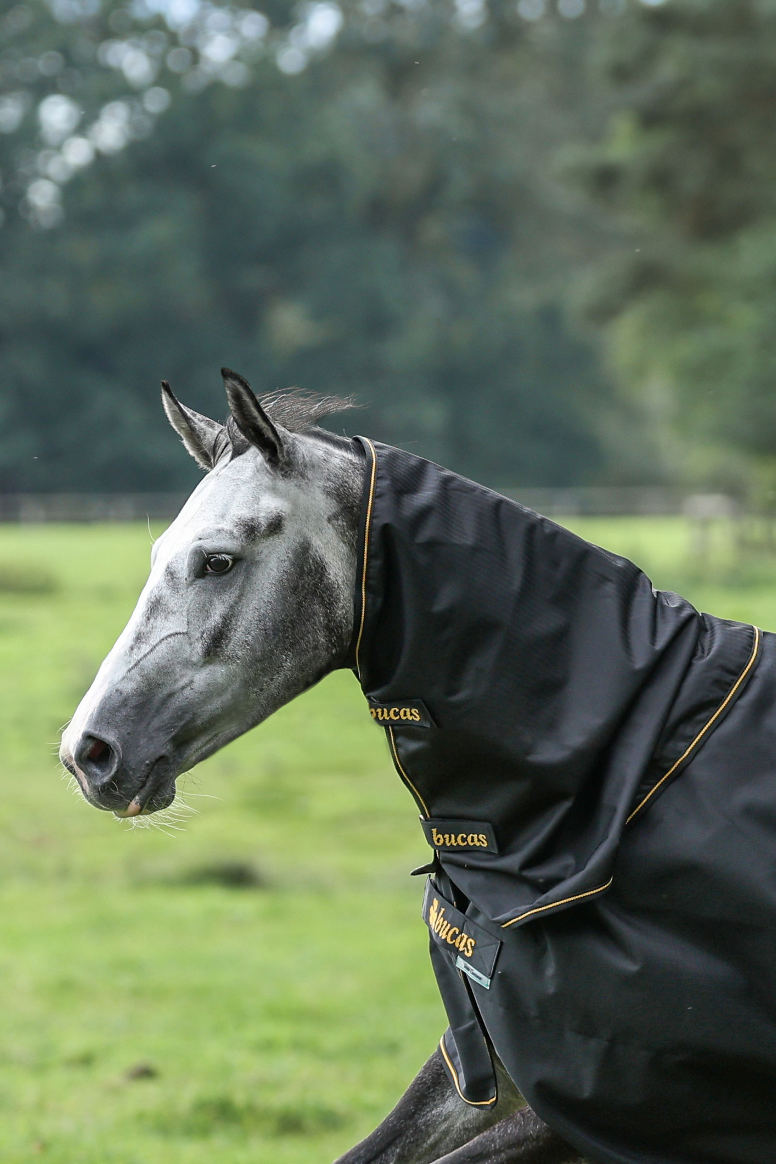 Bucas Irish Turnout halsstykke, 0g