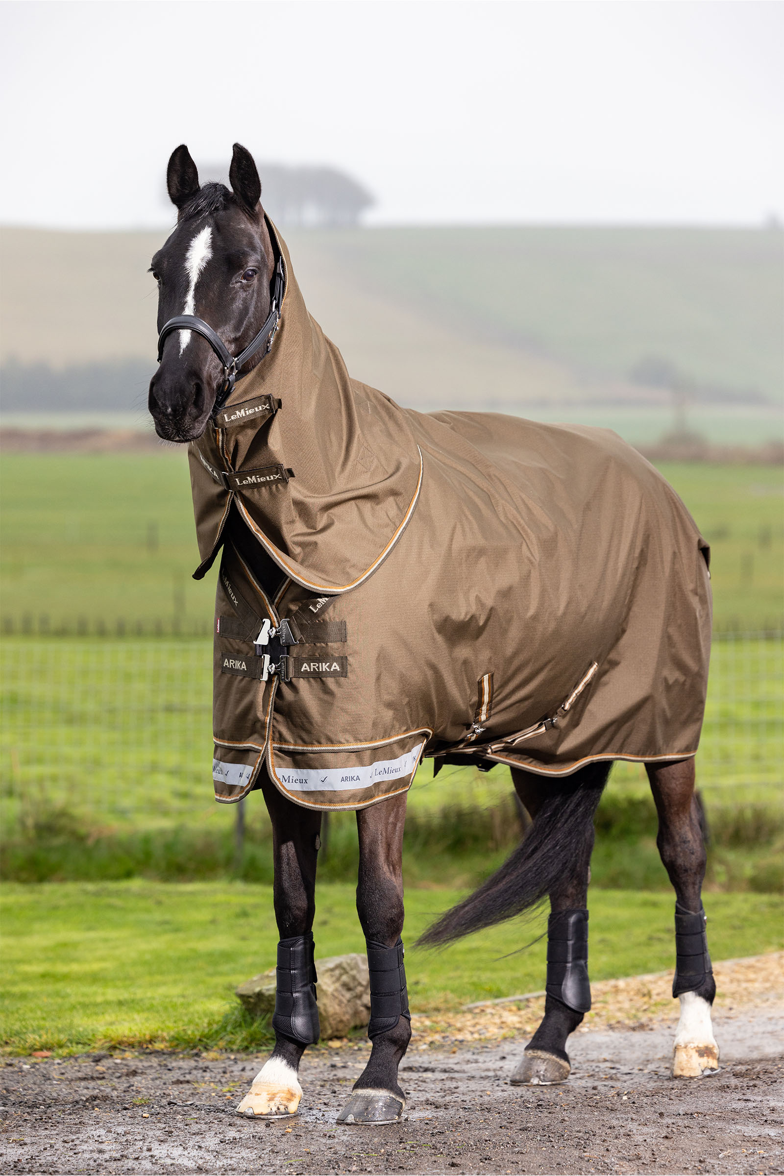 LeMieux Arika Ripstop Turnout Rug With Detachable Neck, 100 g