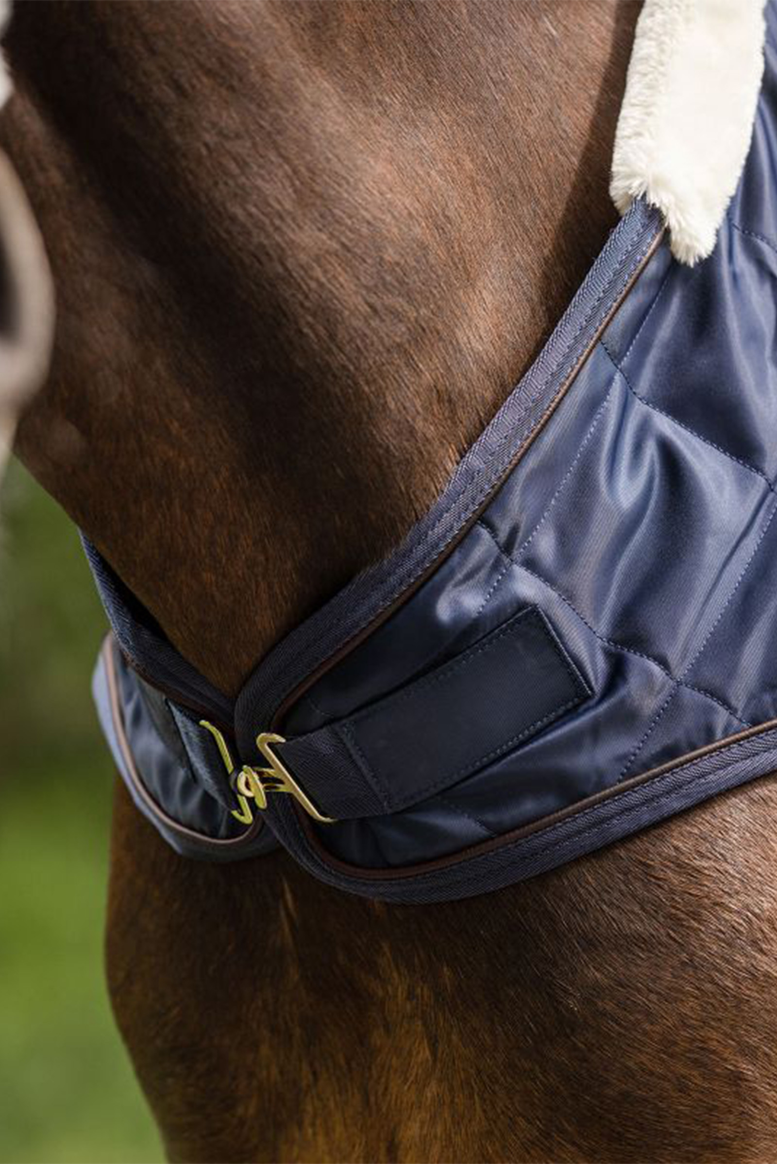 Waldhausen F&oslash;rermaskine T&aelig;ppe Exclusive, 50g