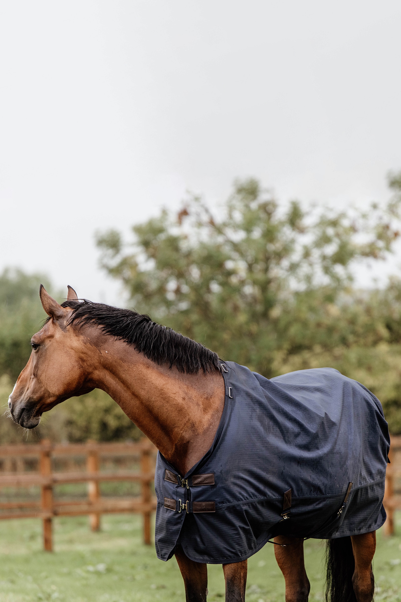 Kentucky Horsewear All Weather Udedækken, 300g
