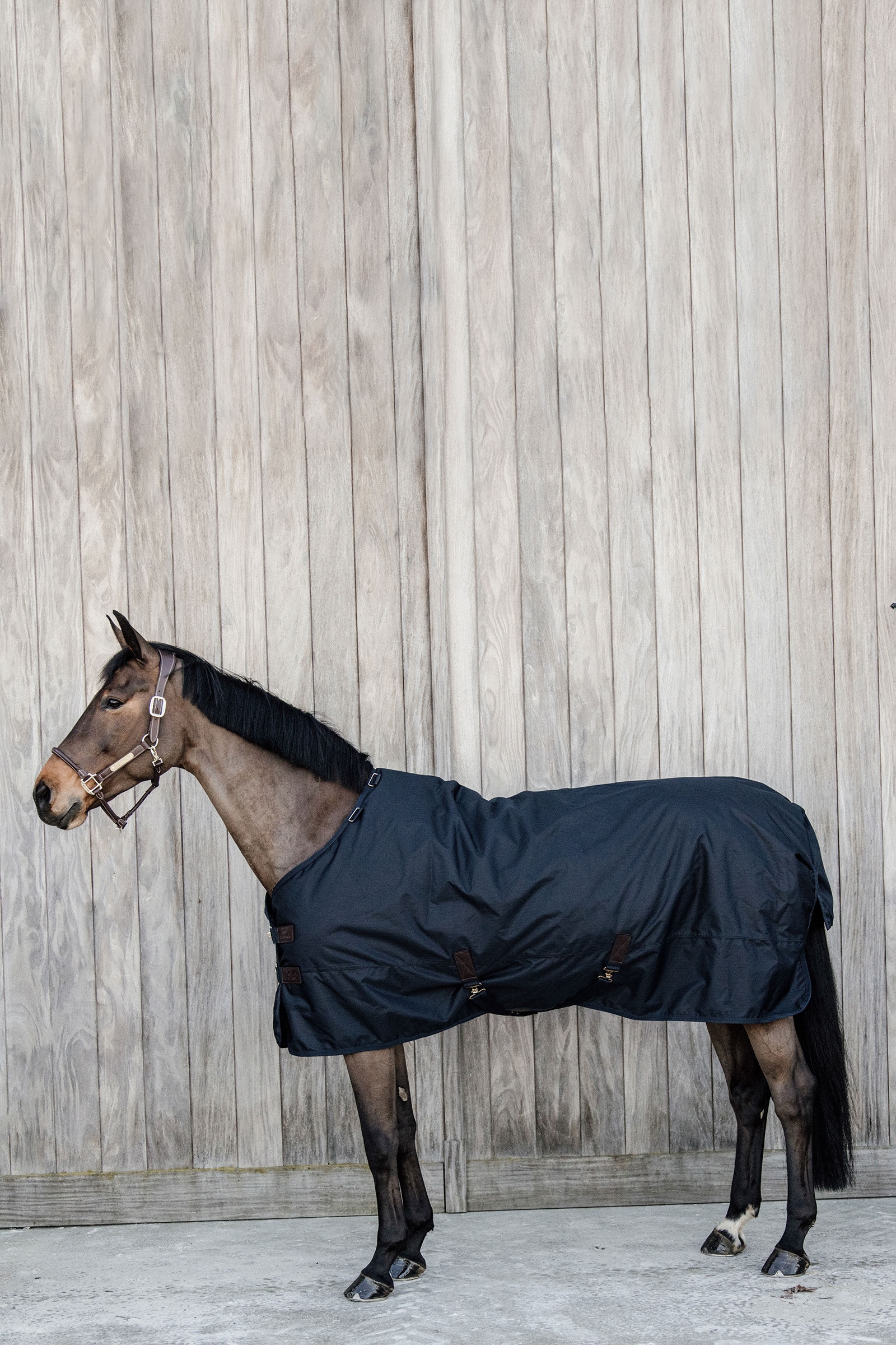 Kentucky Horsewear All Weather Classic overgangsdækken, 150 gr