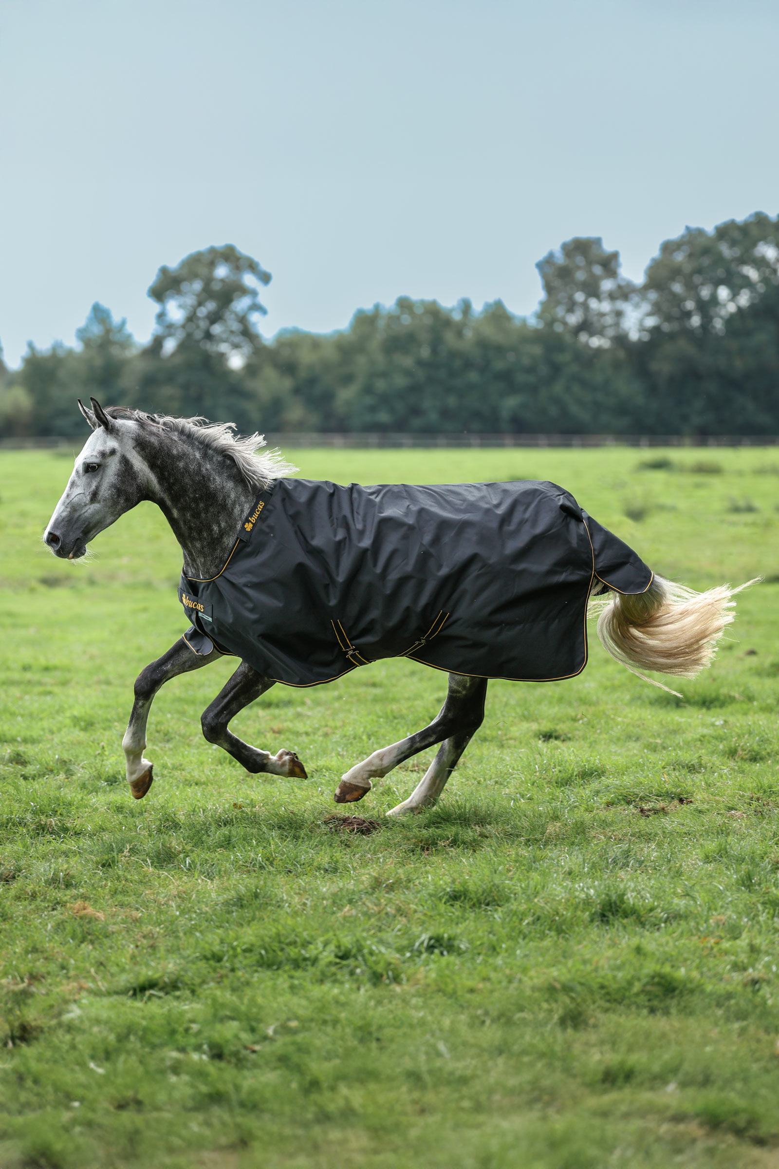 Bucas Irish uded&aelig;kken, 100 g