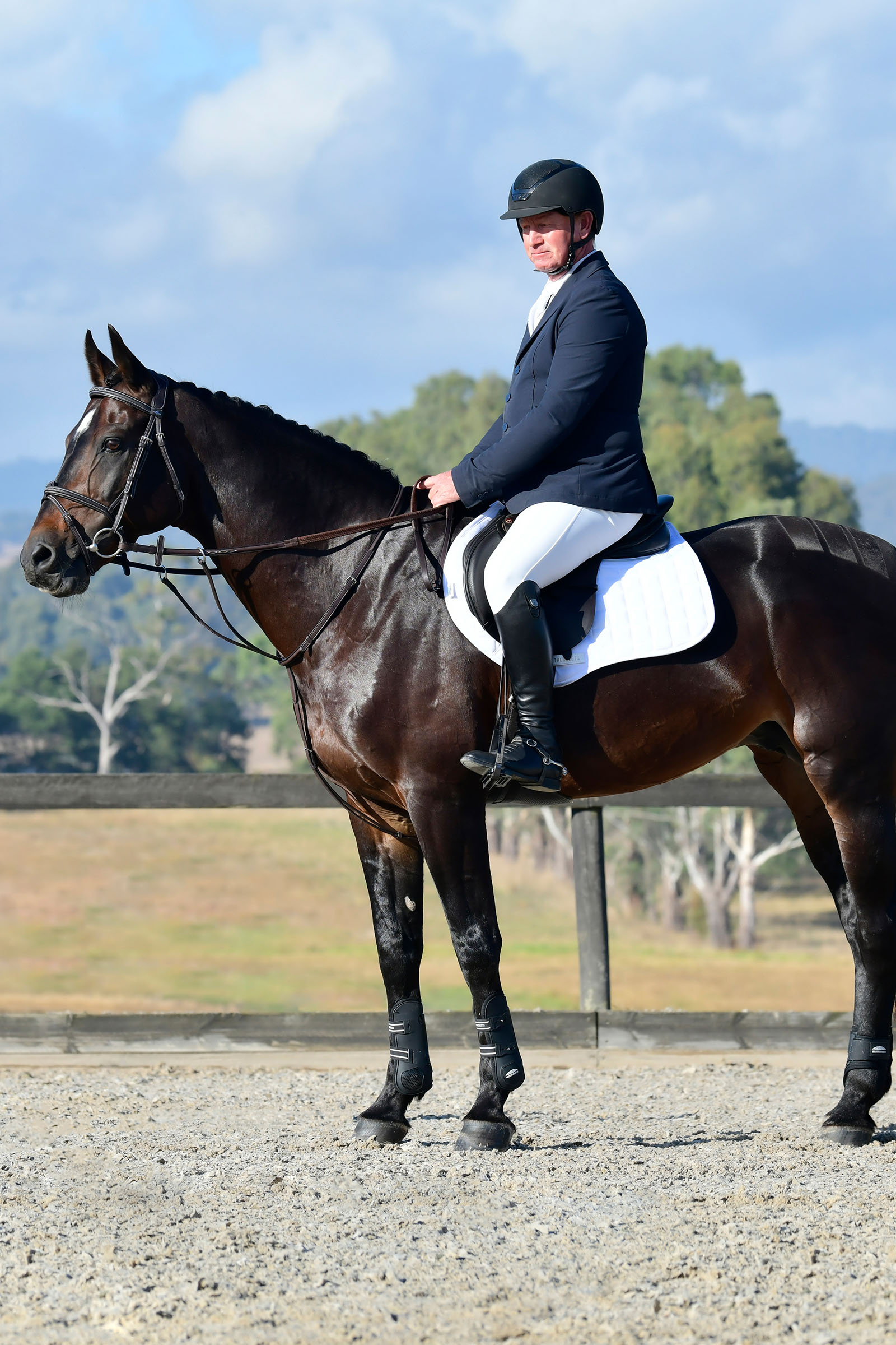 Collegiate Comfitec Opulux Fancy Stitch polstret hannoveransk trense