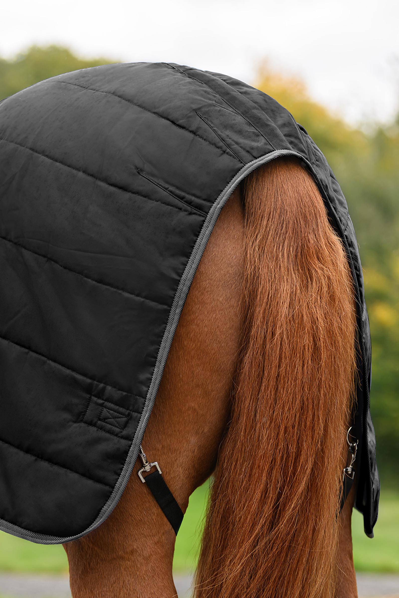 Waldhausen ECONOMIC staldd&aelig;kken, 100g