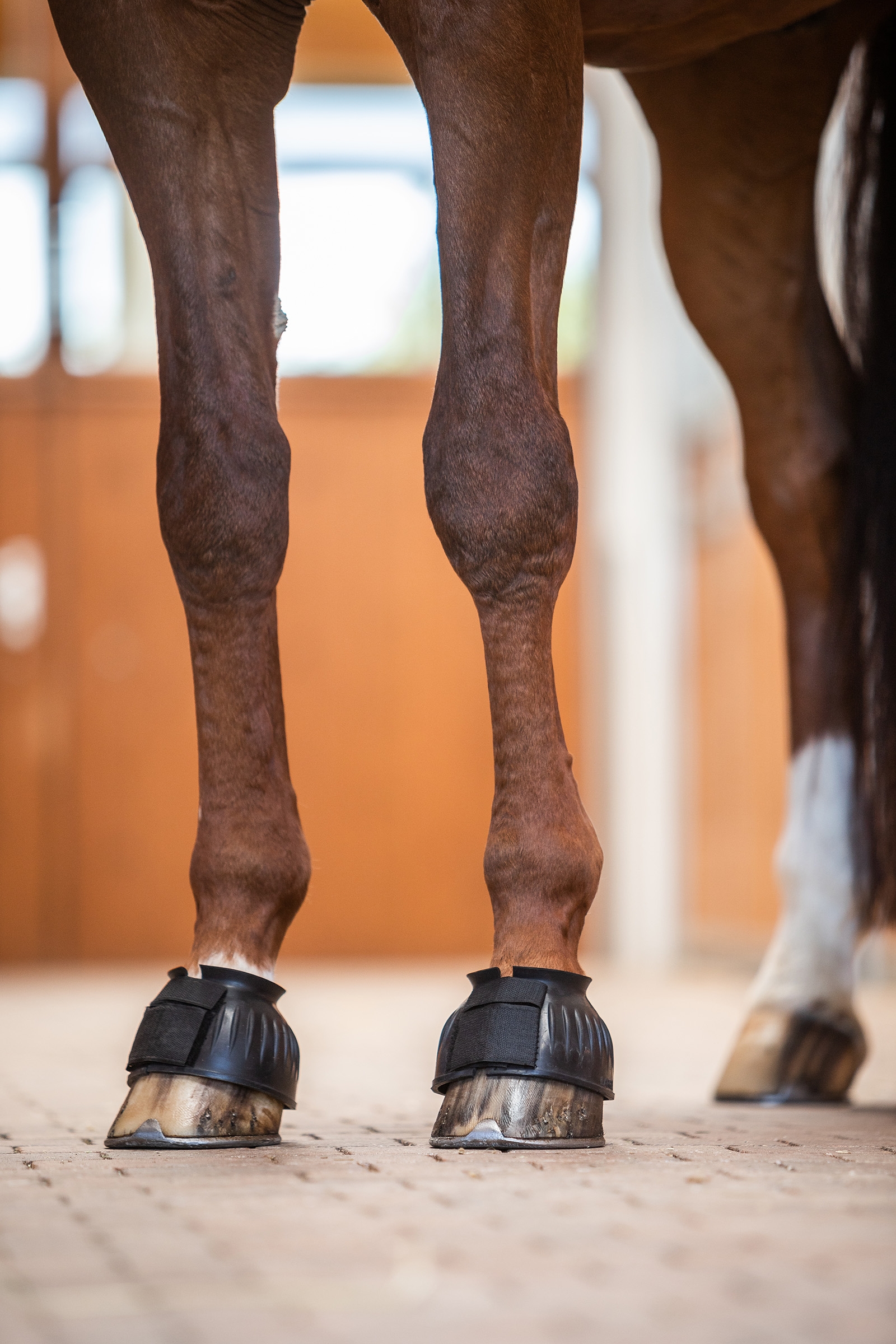 Horze Anti-Twist Lock-On klokker