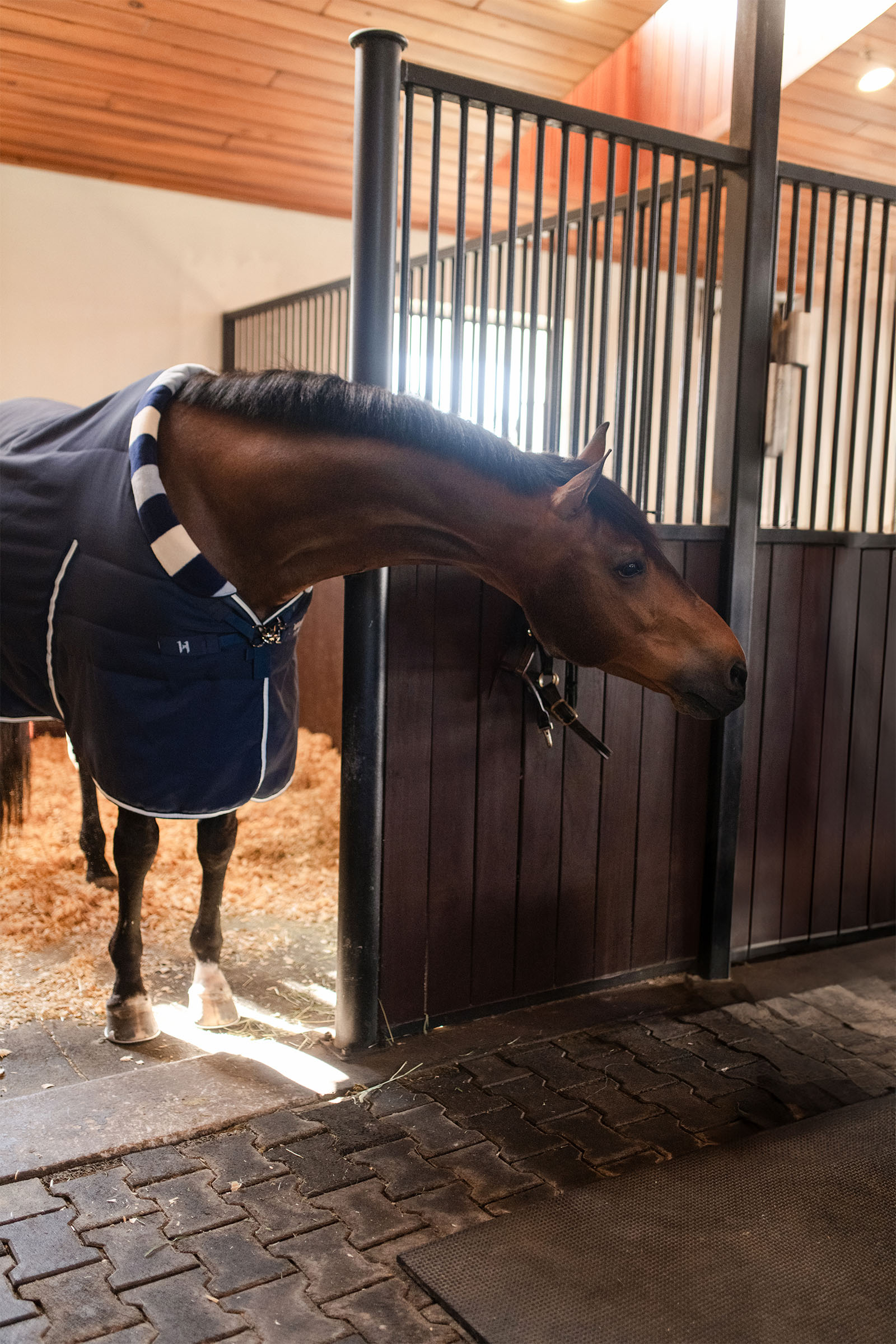 Horseware Newmarket Cosy Stalddækken 100g