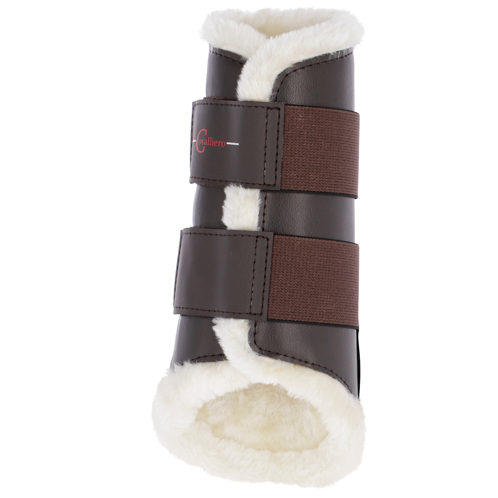 Brown Covalliero dressurgamacher, front.