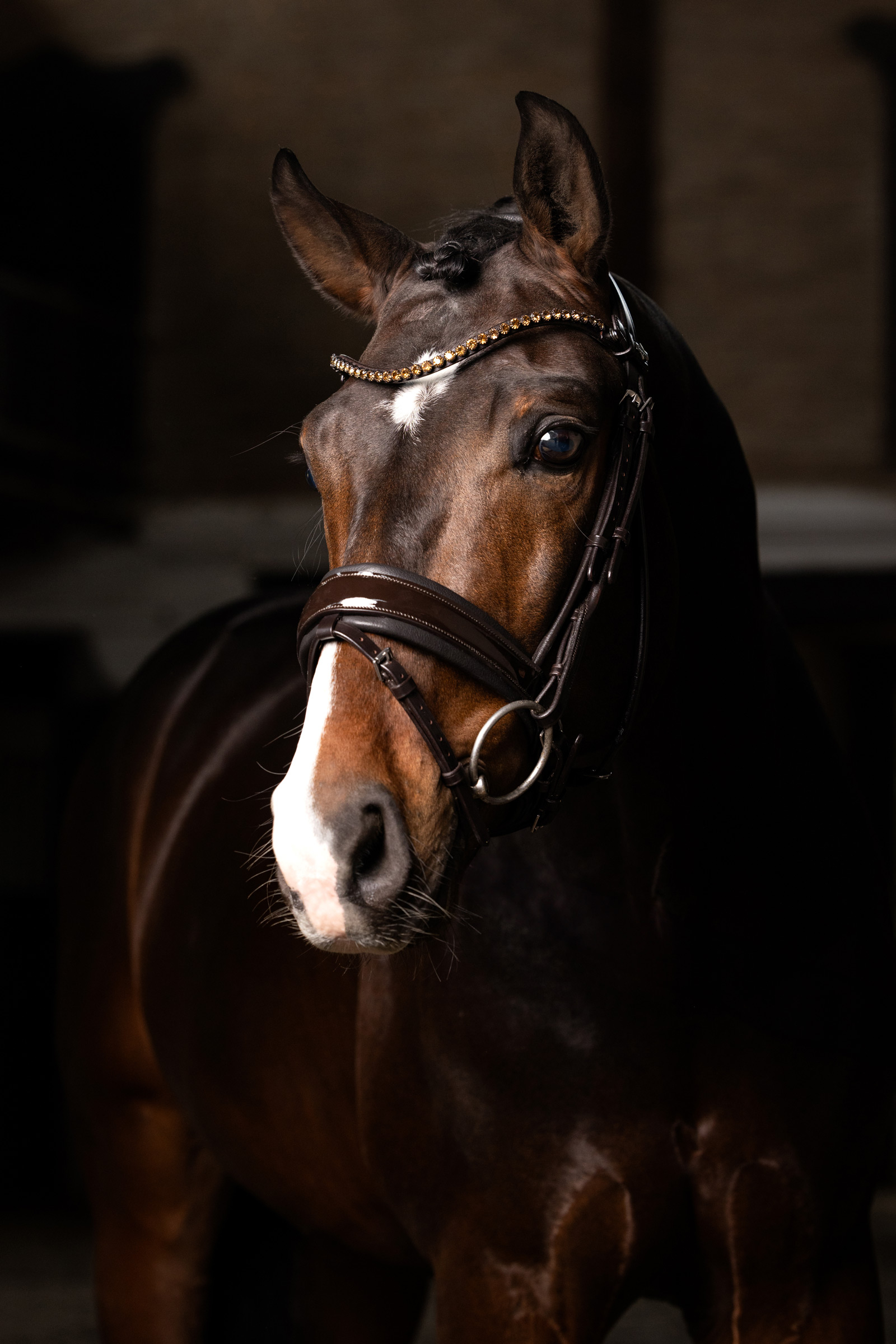 LeMieux Kudos Dressurhovedtøj af Laklæder