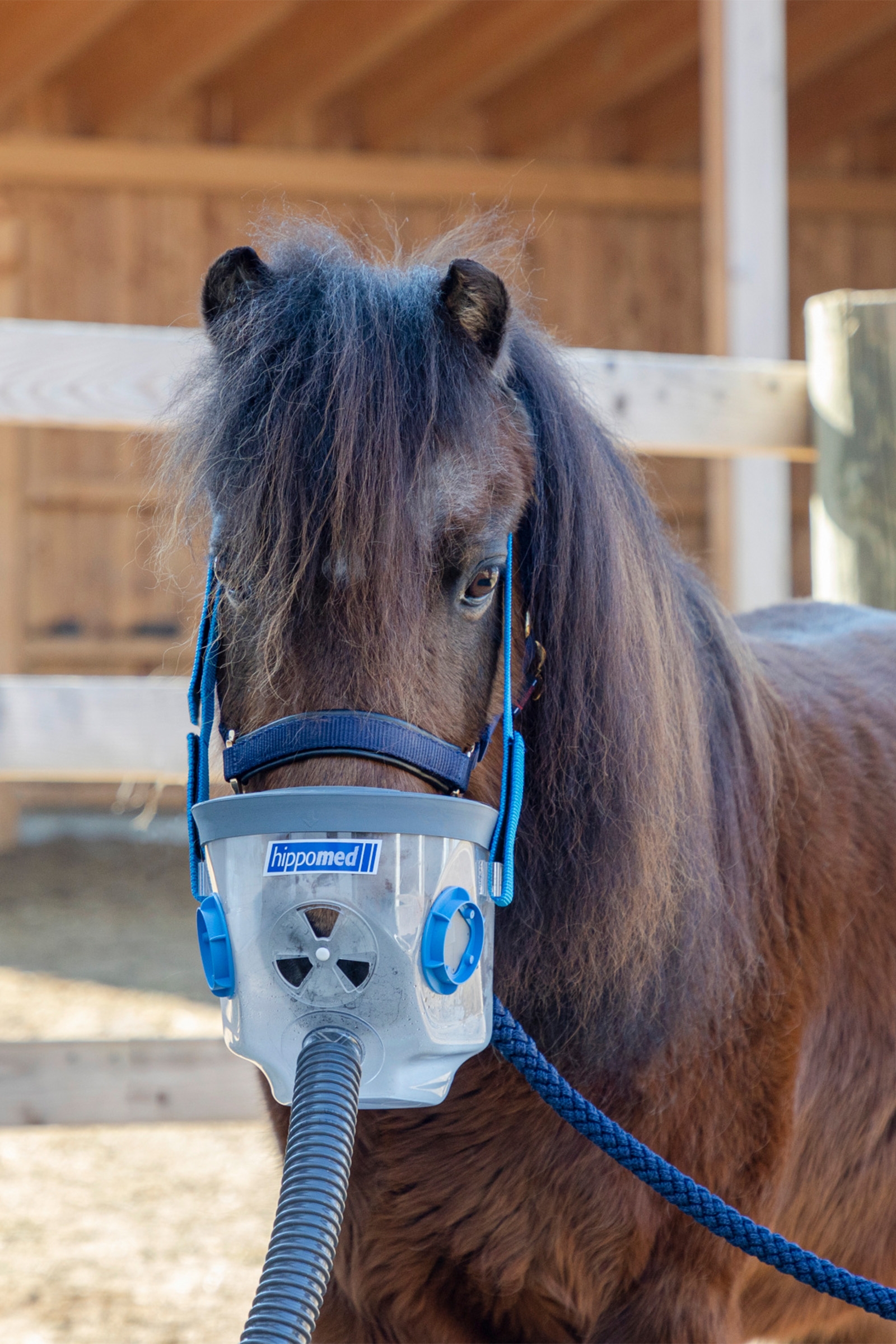 Hippomed Inhalation Mask incl. Accessories for AirOne, Shetland/Foal