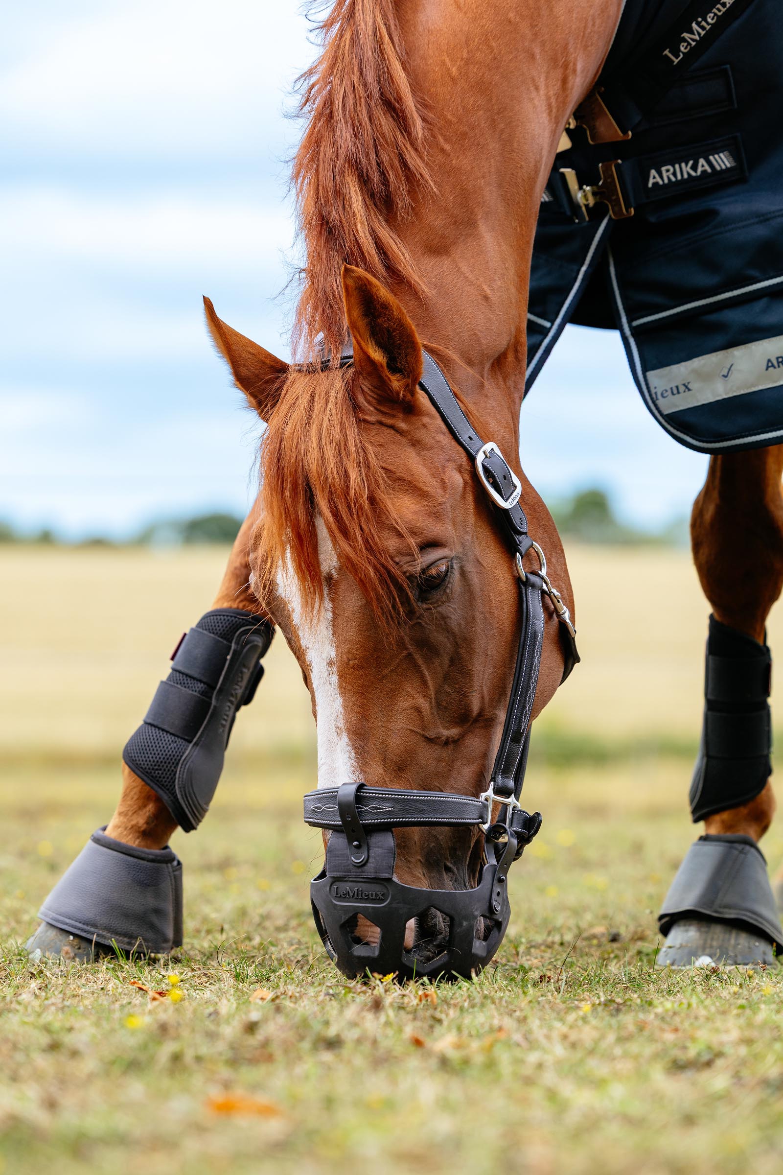 LeMieux Noma gr&aelig;sningsmundkurv