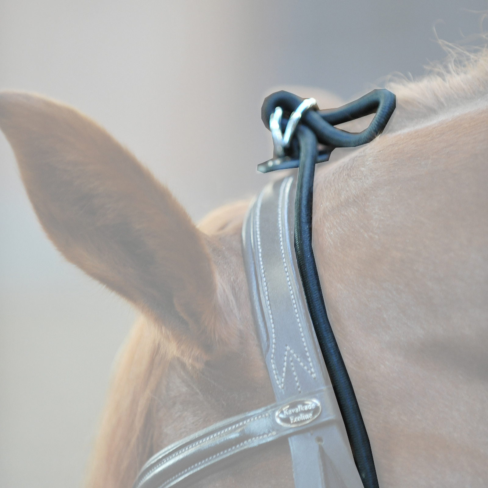 Kavalkade Bungie chambon, elastisk