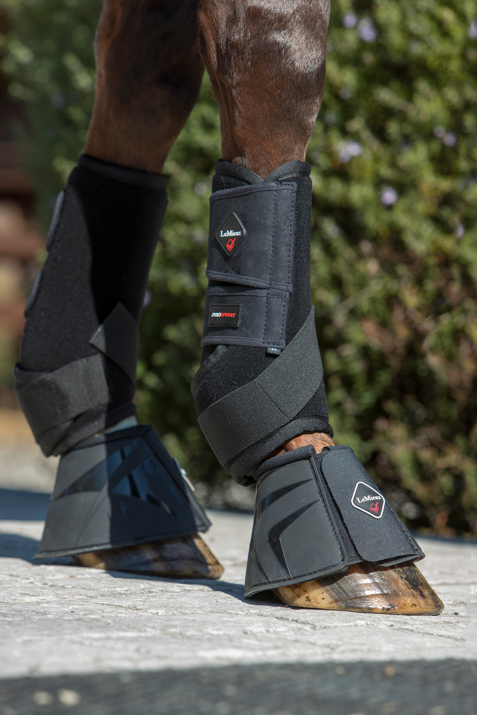 LeMieux Ultra Support Boots til heste