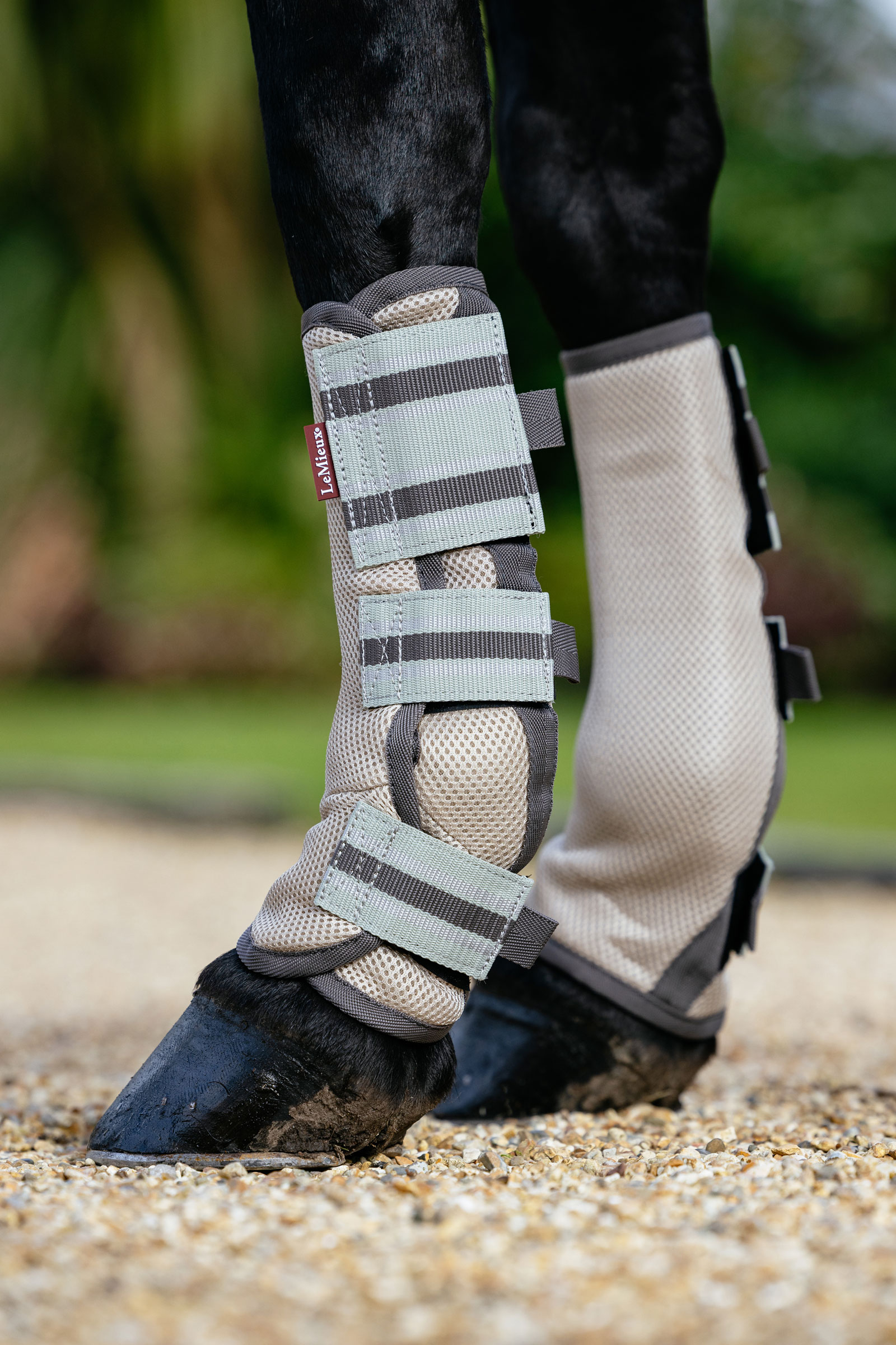 LeMieux Arika mesh fluegamacher s&aelig;t med 4