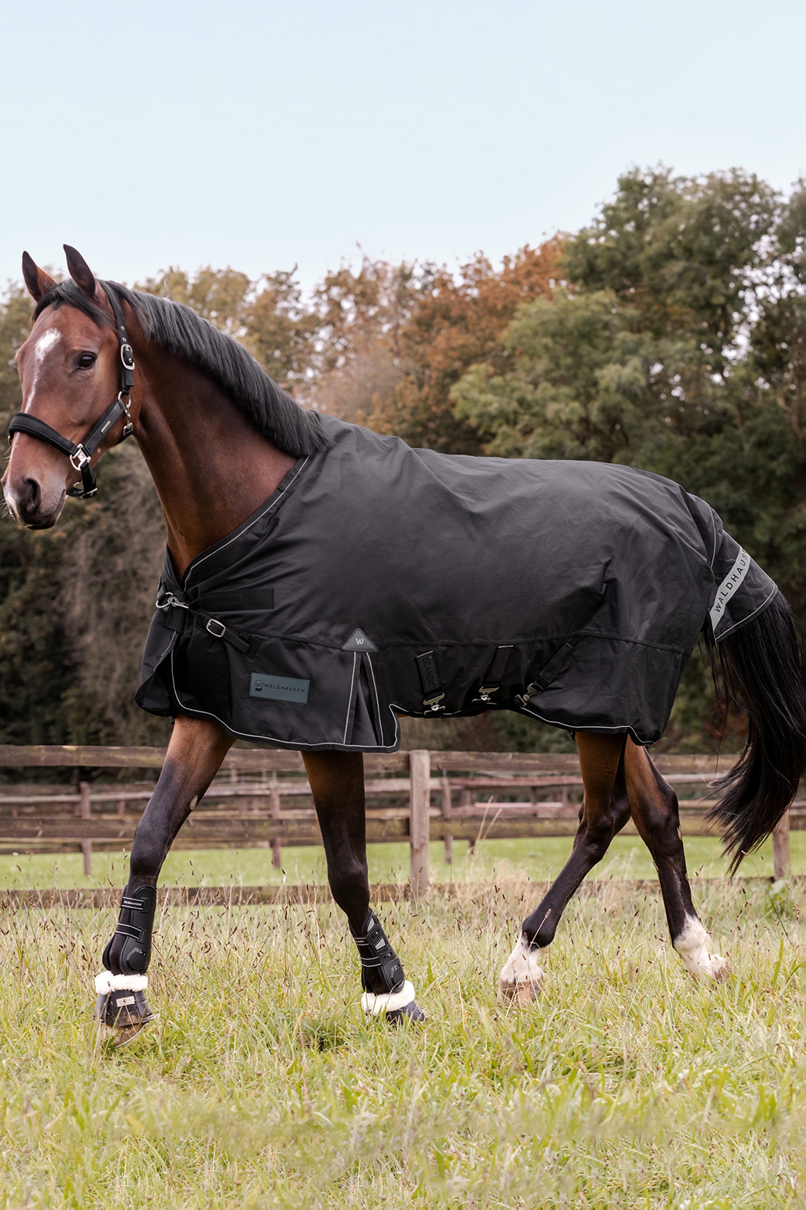 Waldhausen Outdoor Rug Scandic Multi-Layer 250 g/100 g